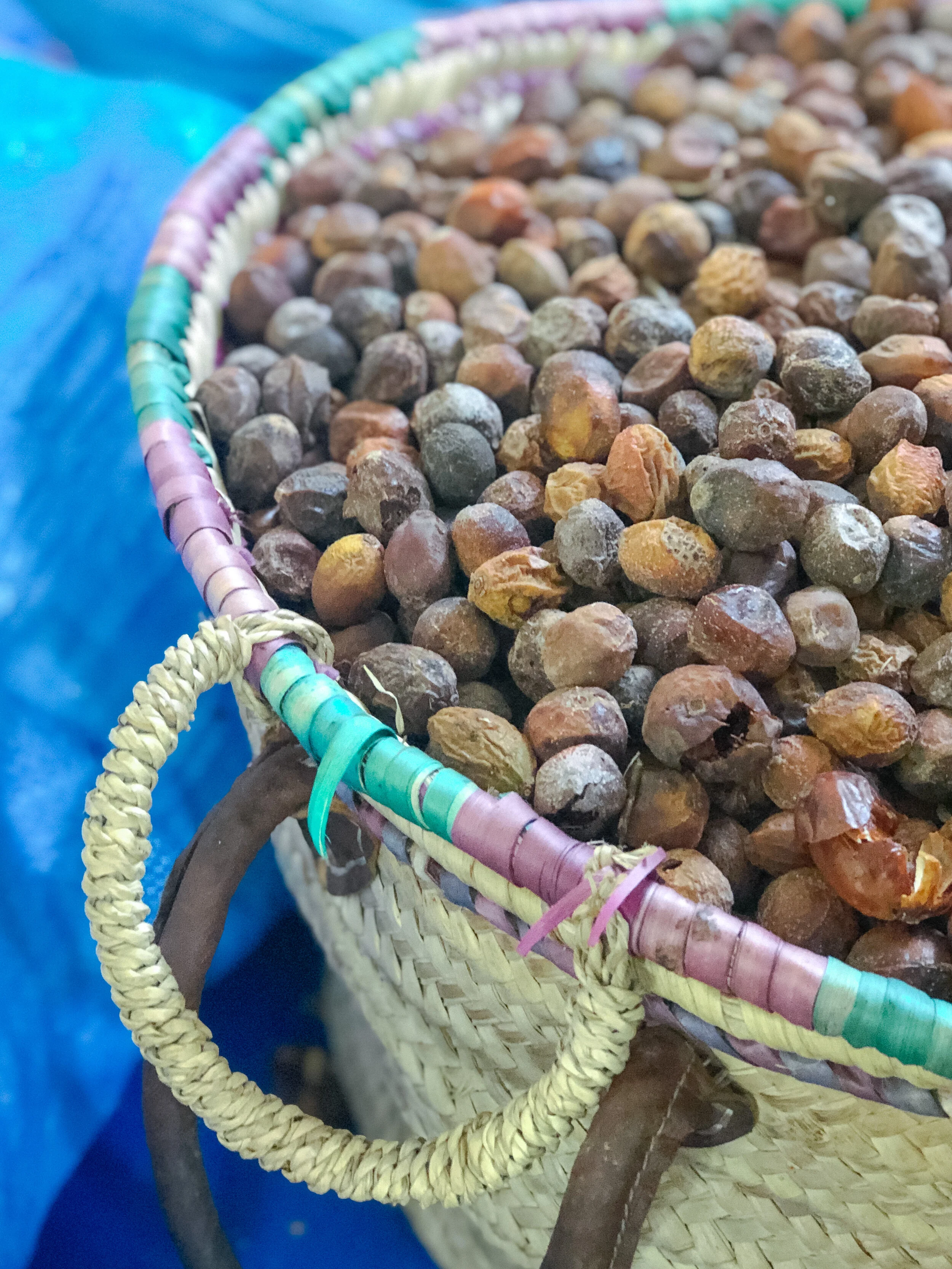 Ingredient Spotlight: Argan Oil