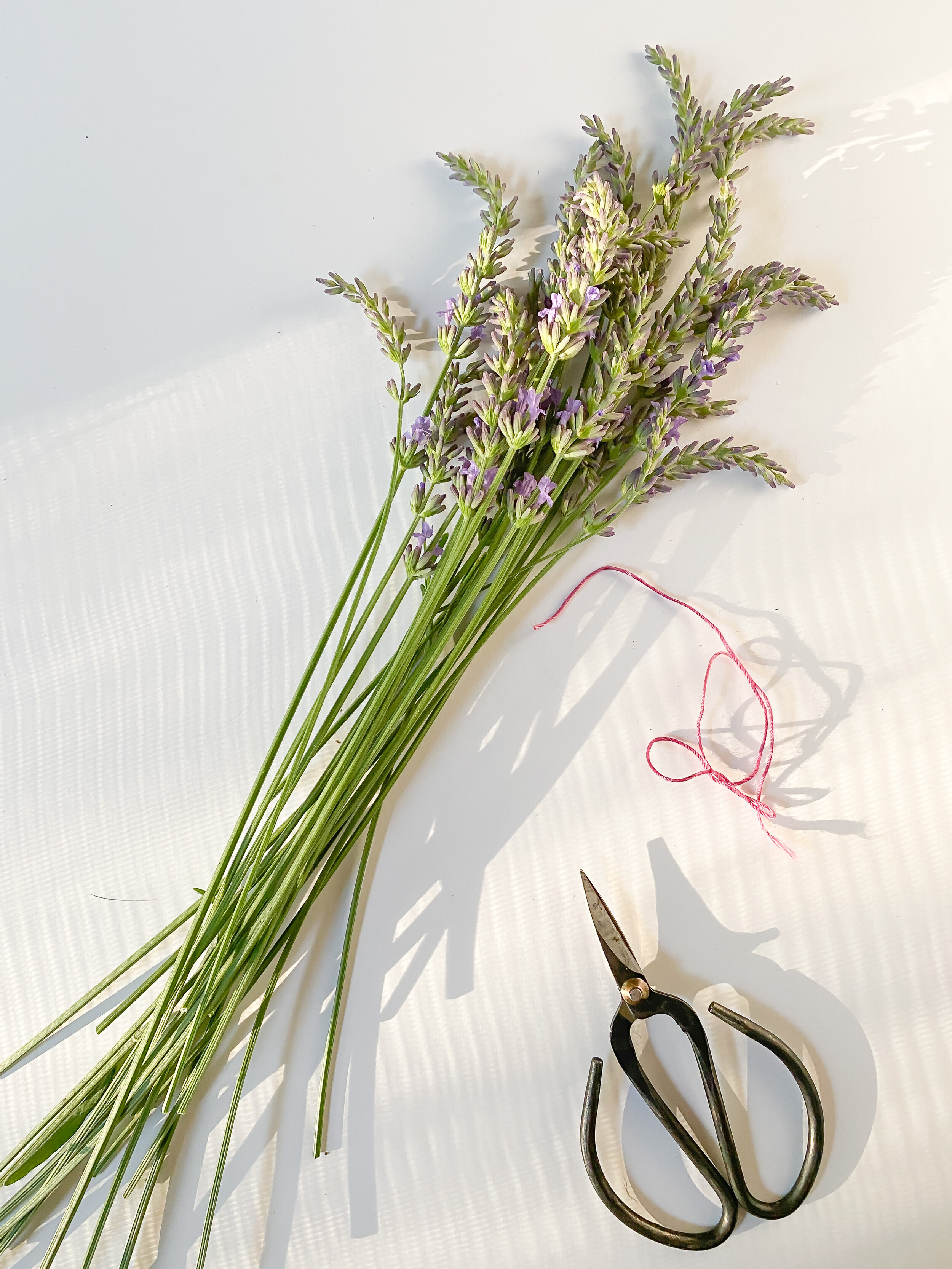 Celebrating Solstice: Lavender Herb Bundle