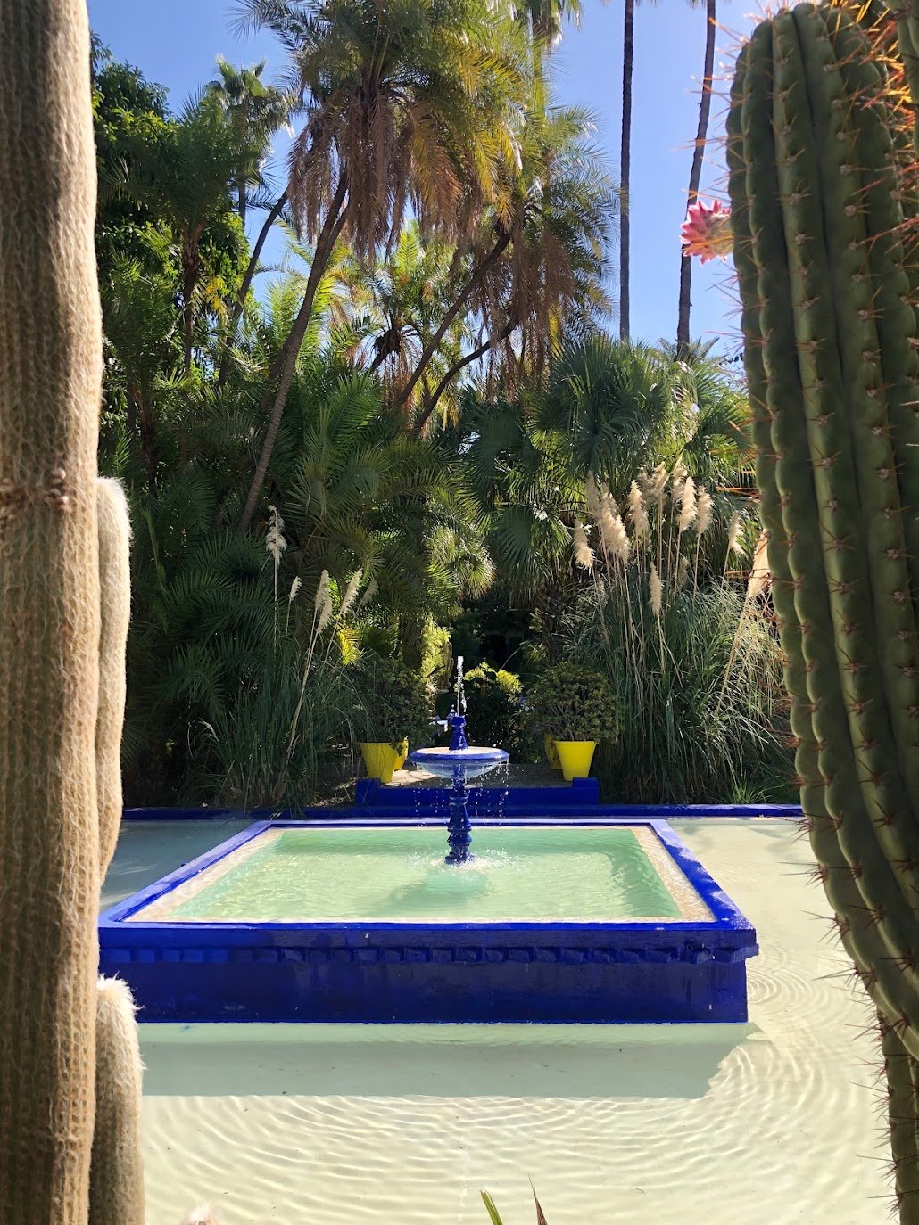 Jardin Majorelle, Guiliz, Marrakech
