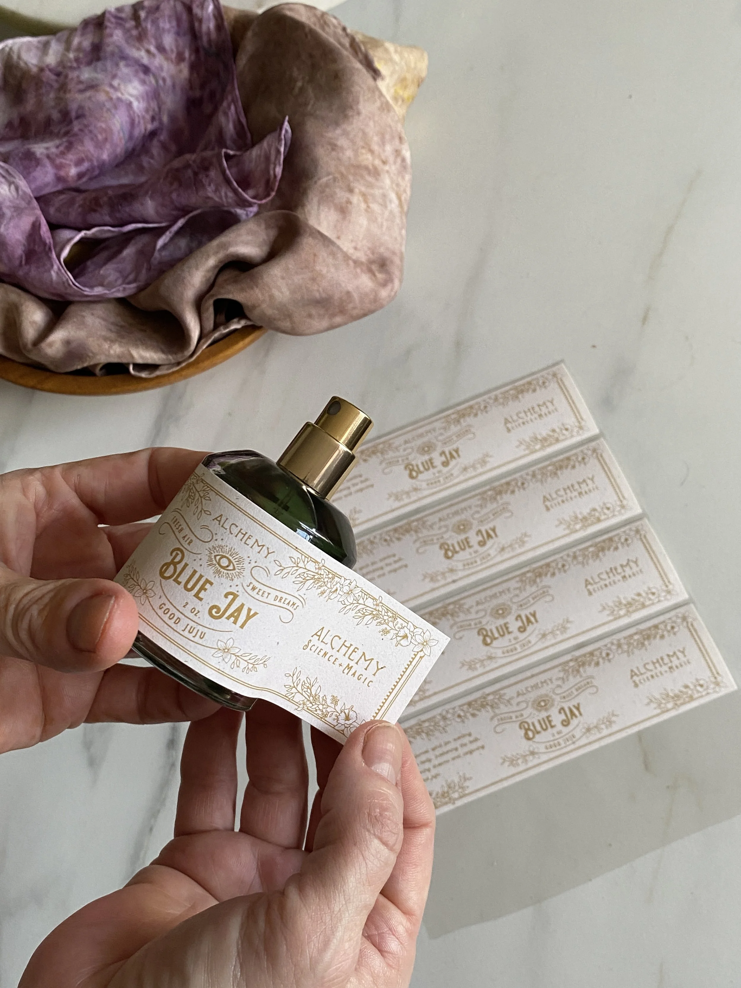 labeling blue jay by hand.JPG