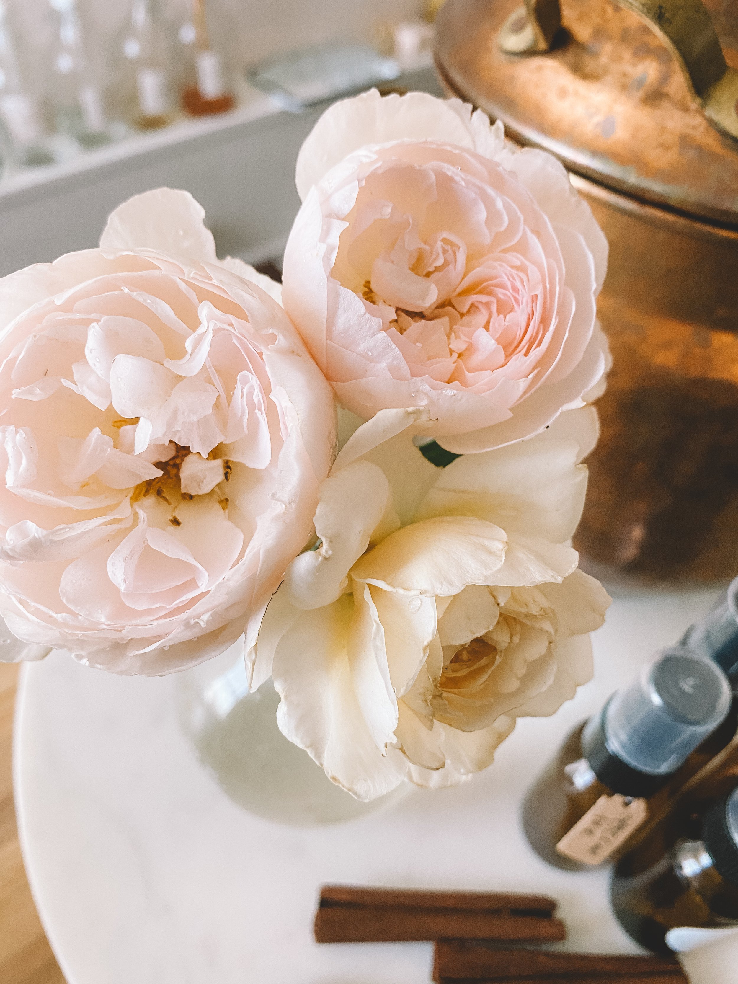 cinnamon - aldehyde.JPG