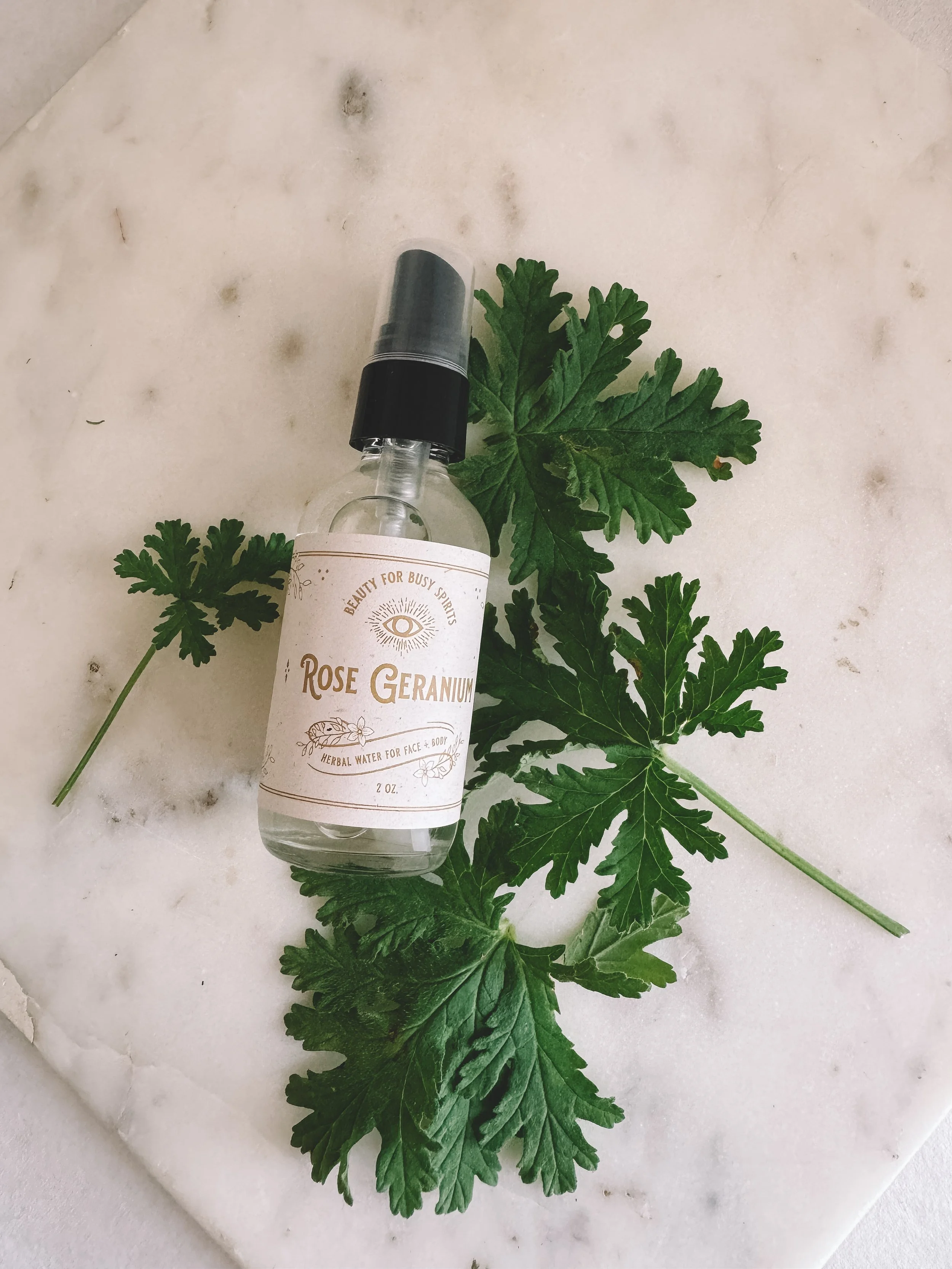rose geranium flat lay with sprigs.JPG