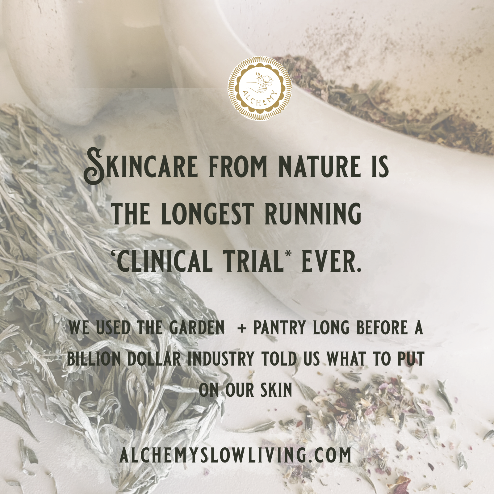 skincare longest clinical trial.png