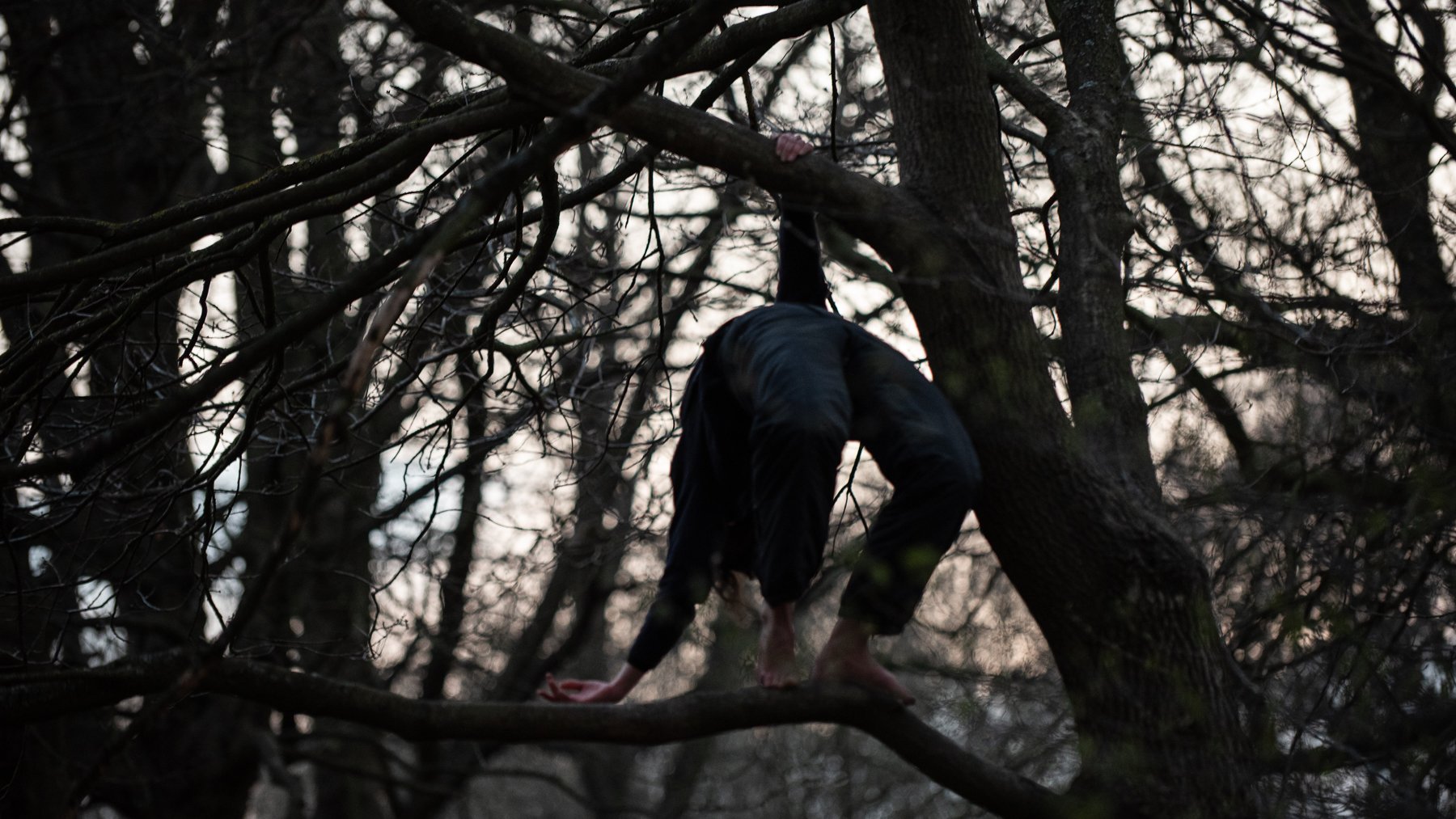 Hayley Falling back tree by Frank Balbi Hansen.jpg