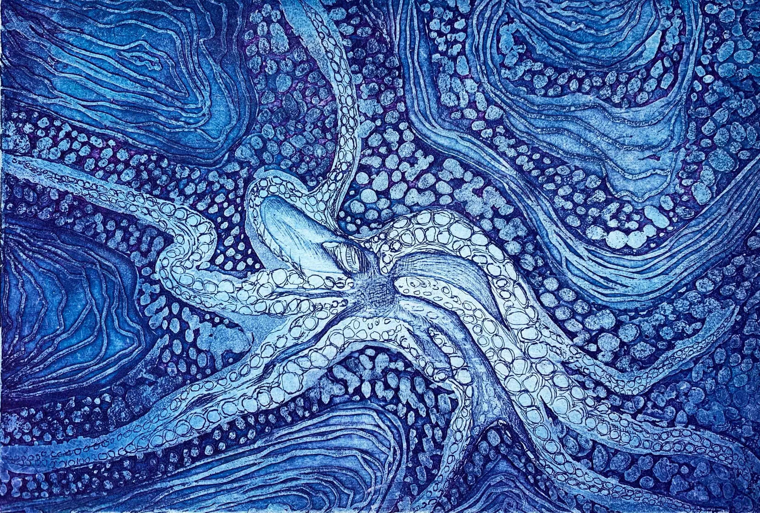 octopus(web).jpg