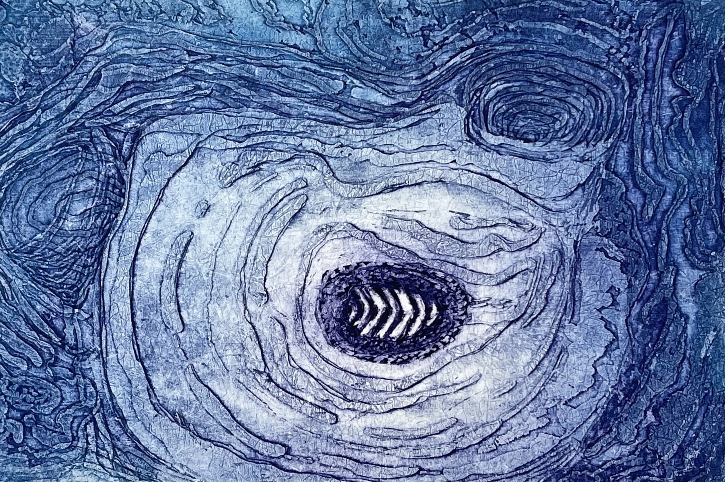 Chiton