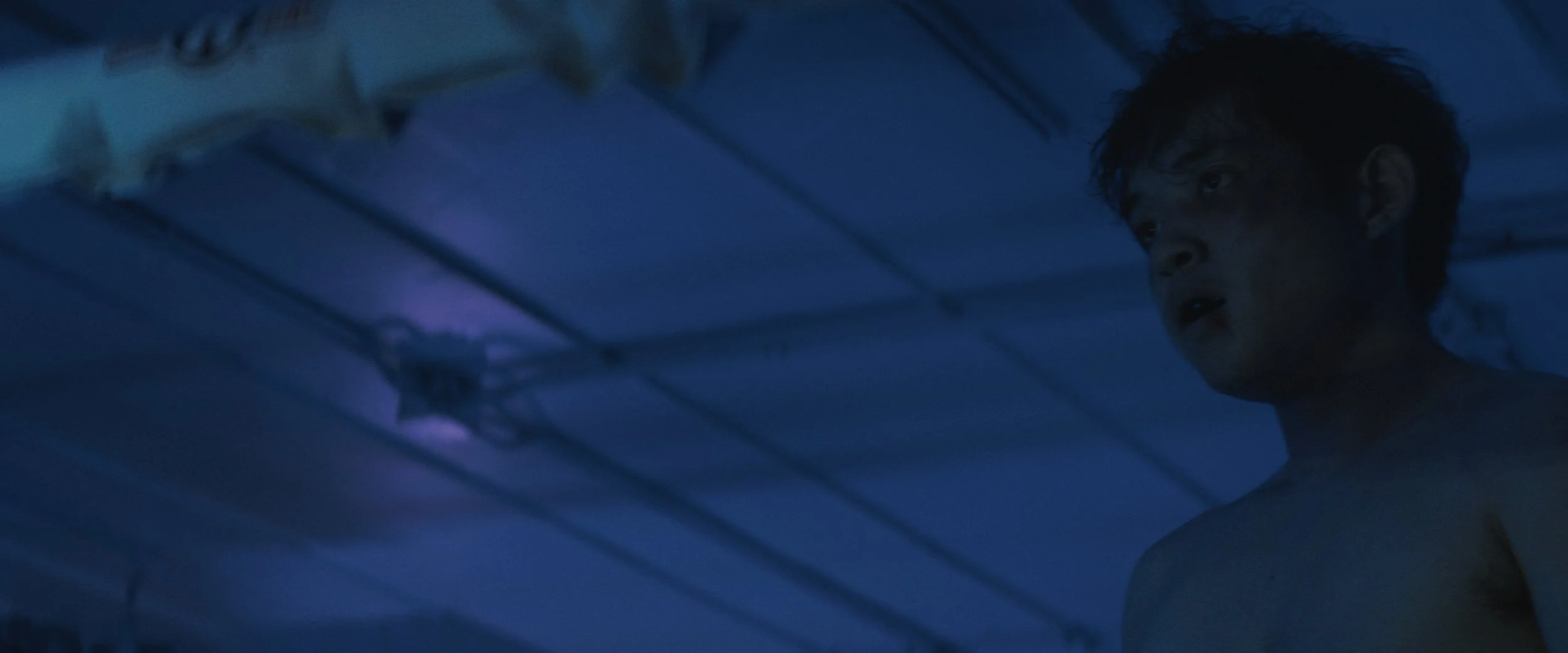 Sequence 02.00_07_48_07.Still005.jpg