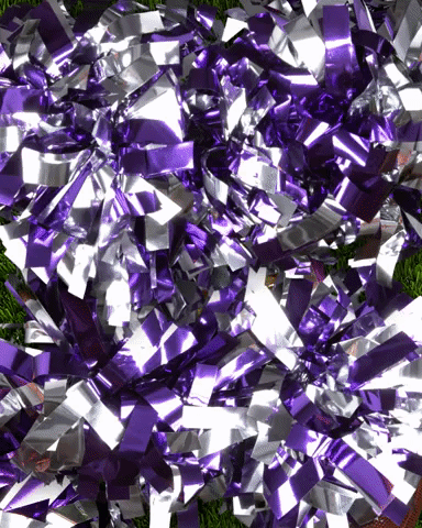 superbowl.gif