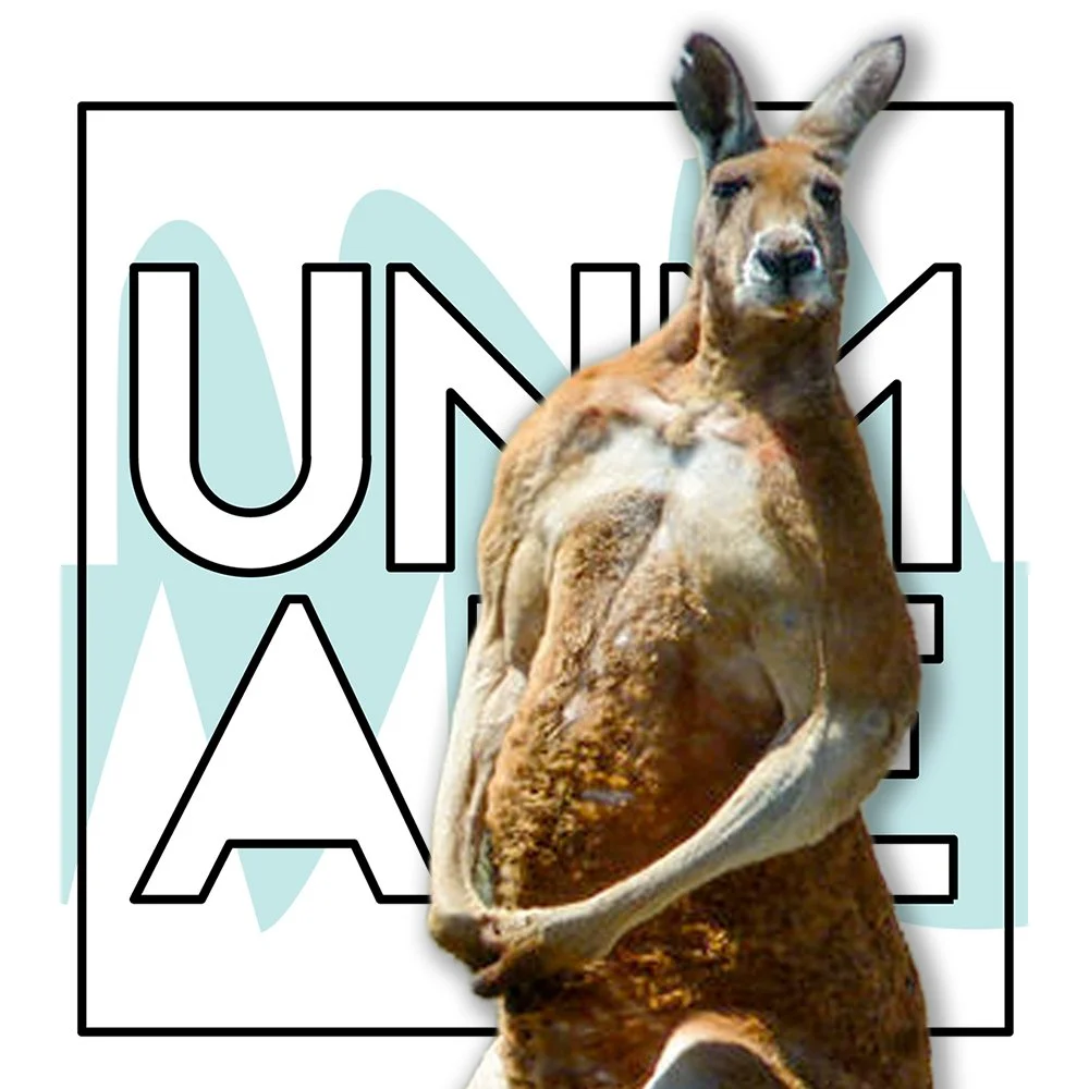 175: Pie Detector 175: Pie Detector