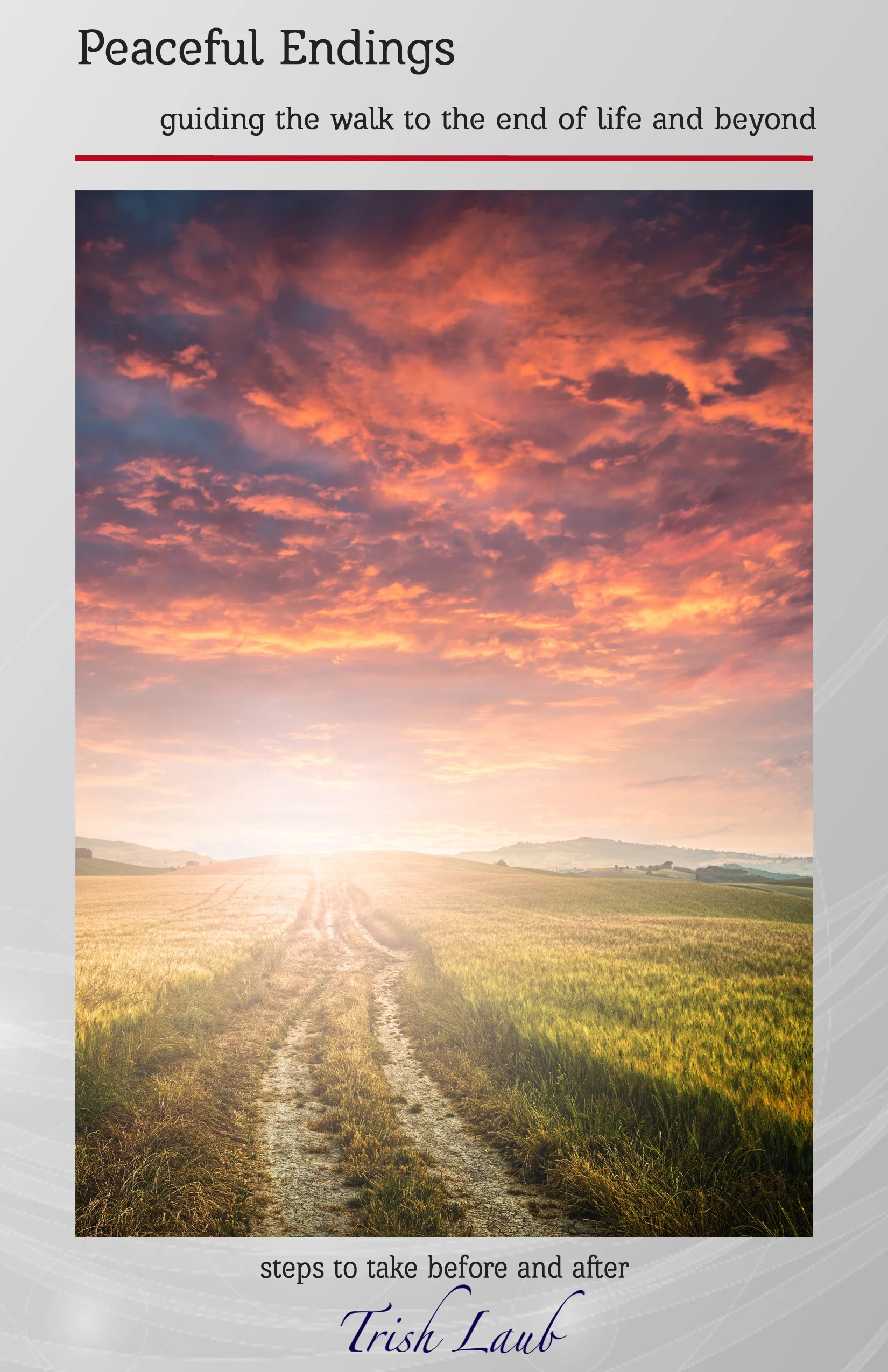 CITJ PE Book Cover Front.jpg