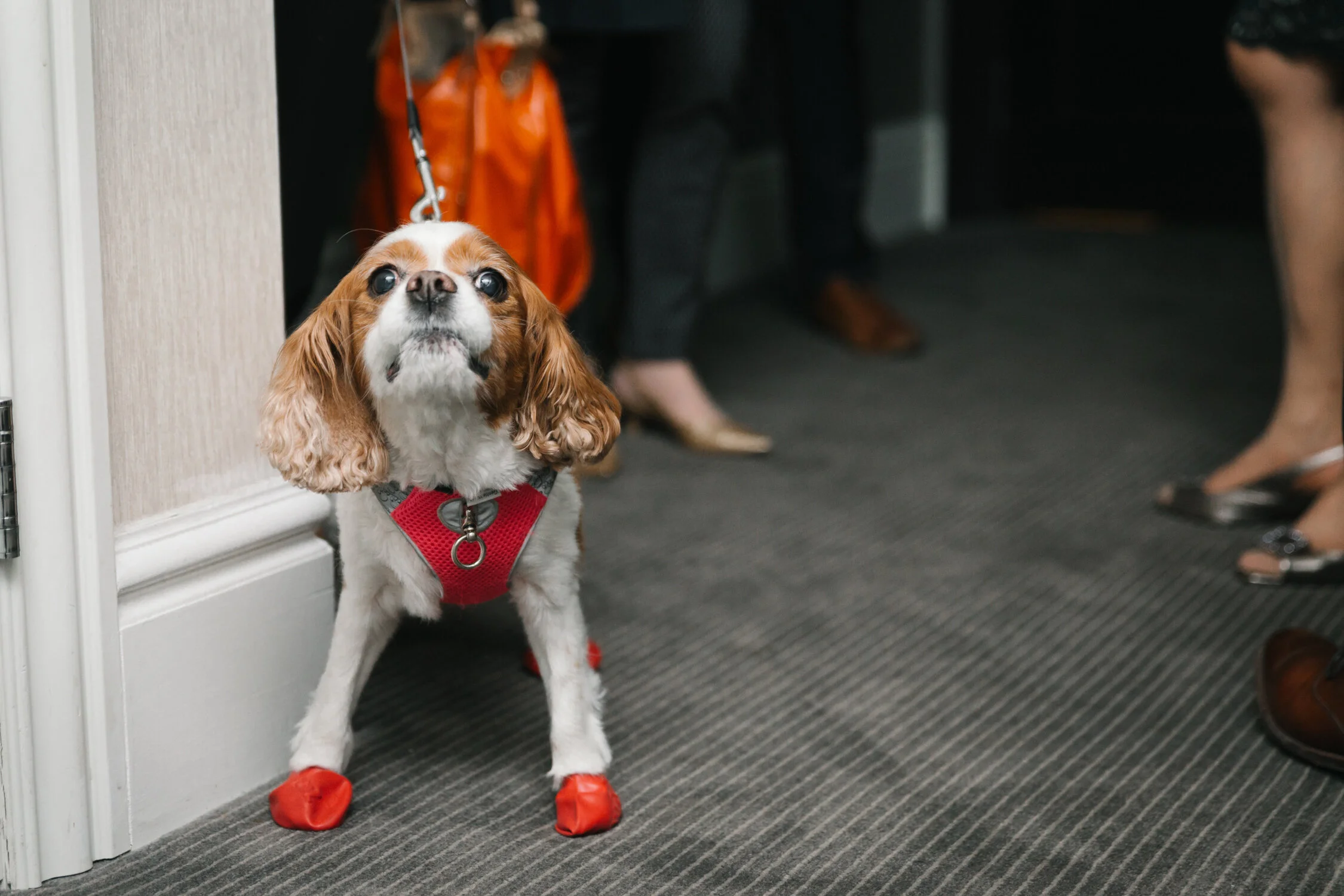 The Fifth_Wedding_Photography_Toronto--13.jpg