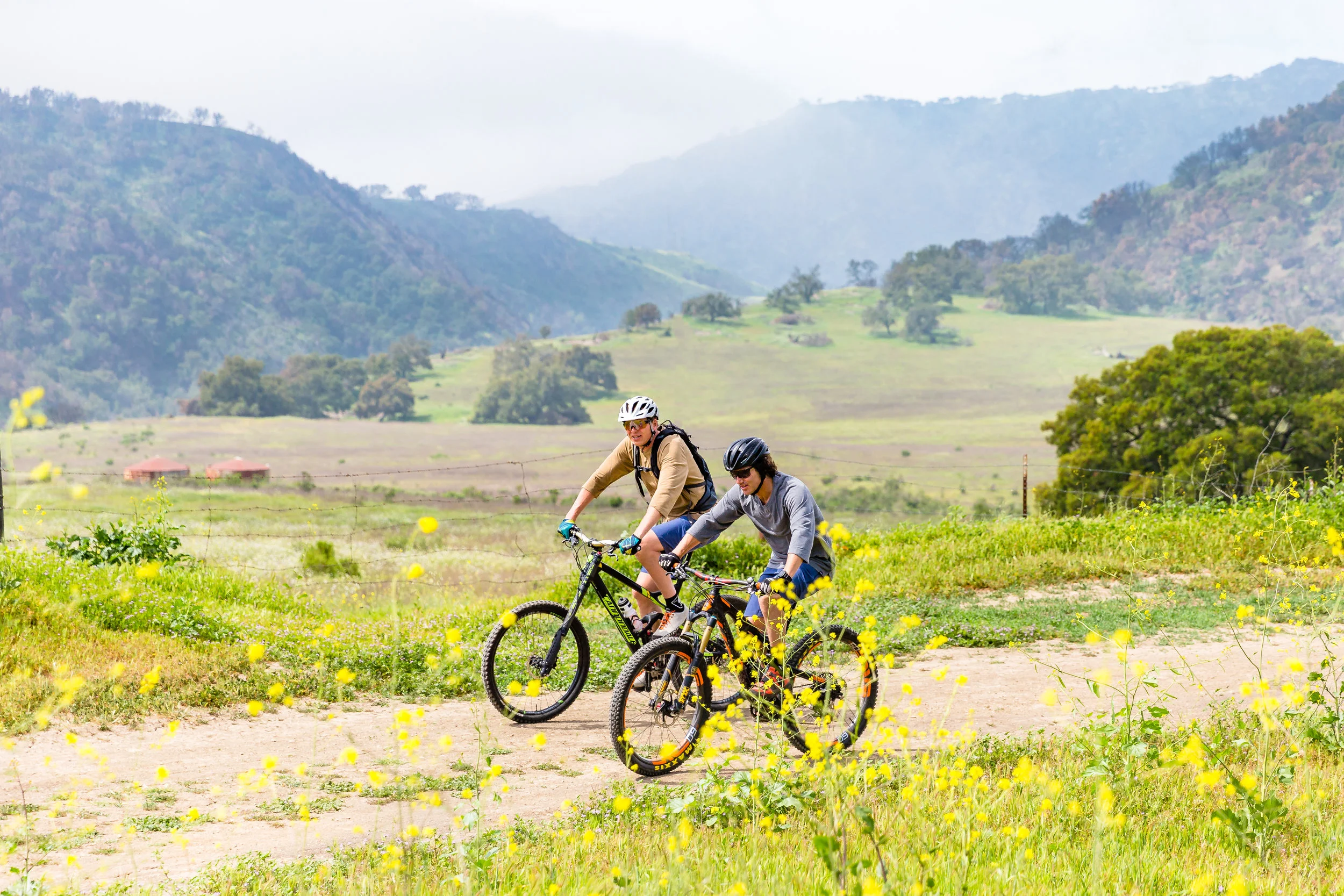 Ventura-0418-9453-Edit.jpg