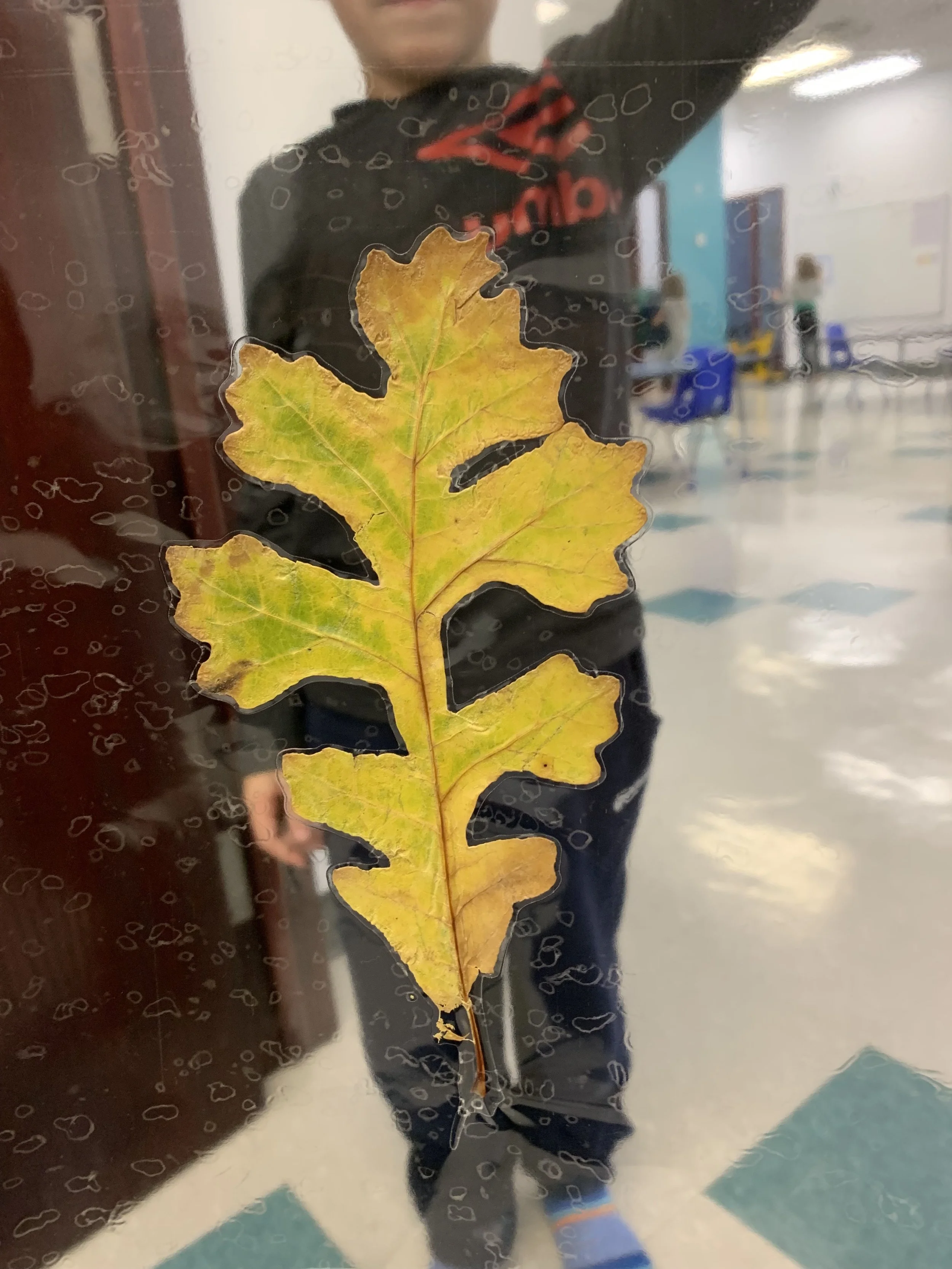 Revel Recap: October 17 - 21, 2022