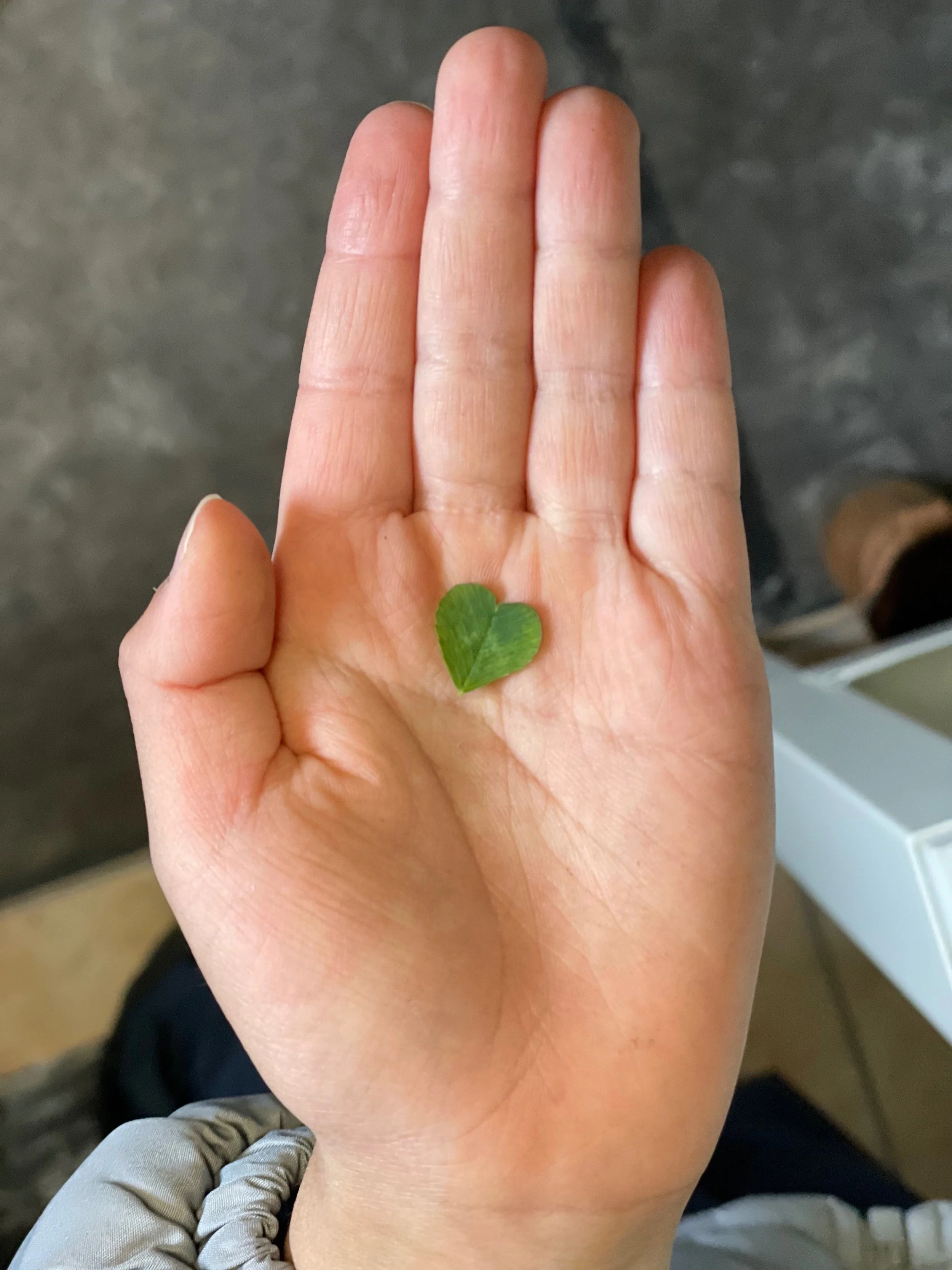 Revel Recap: May 1 - 5, 2023