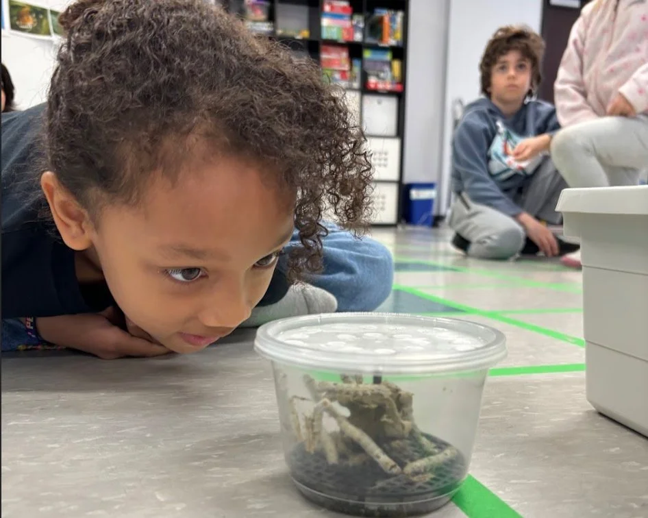 Revel Recap: April 22 - 25, 2025