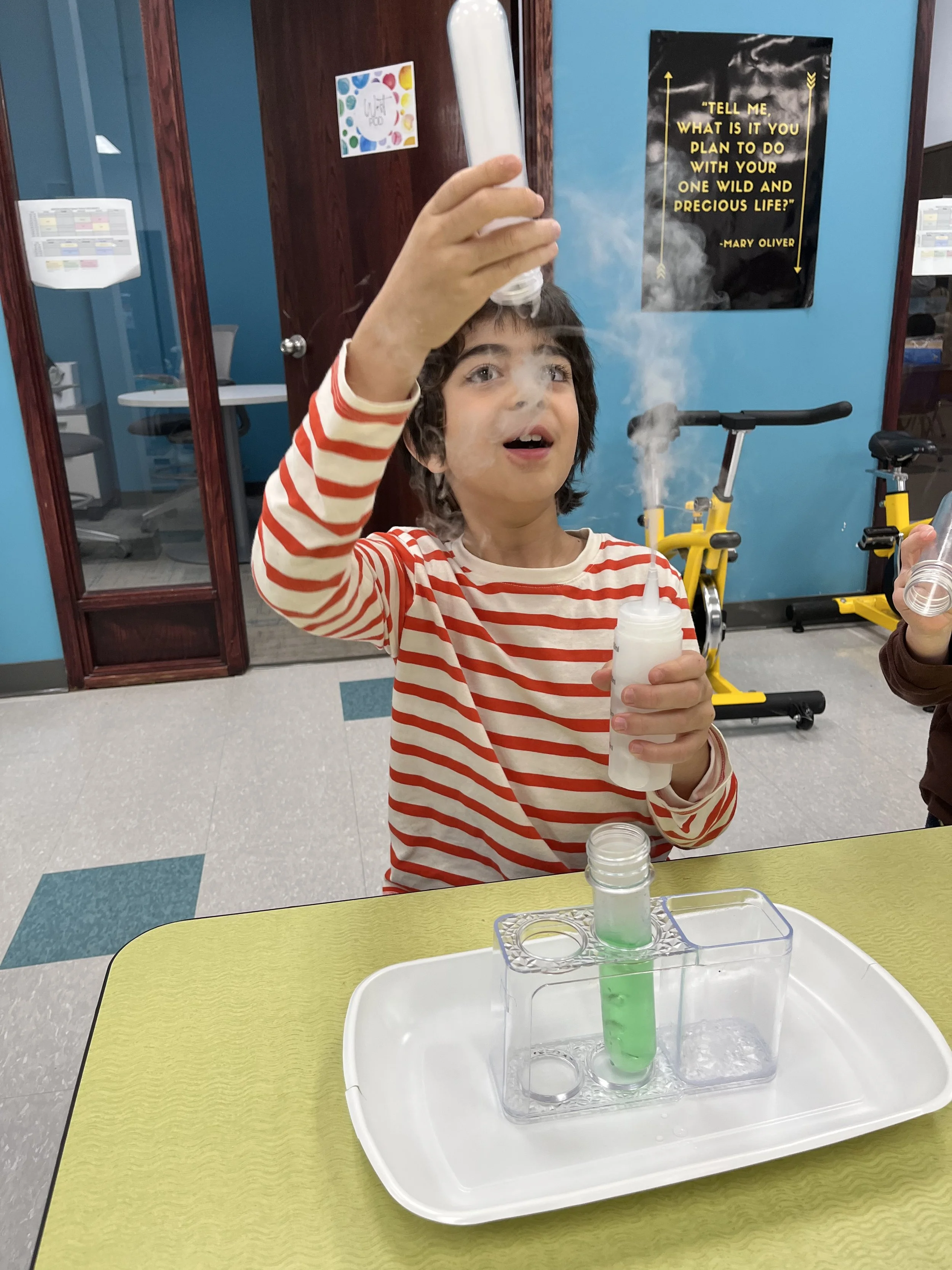 Revel Recap: Nov 3-7