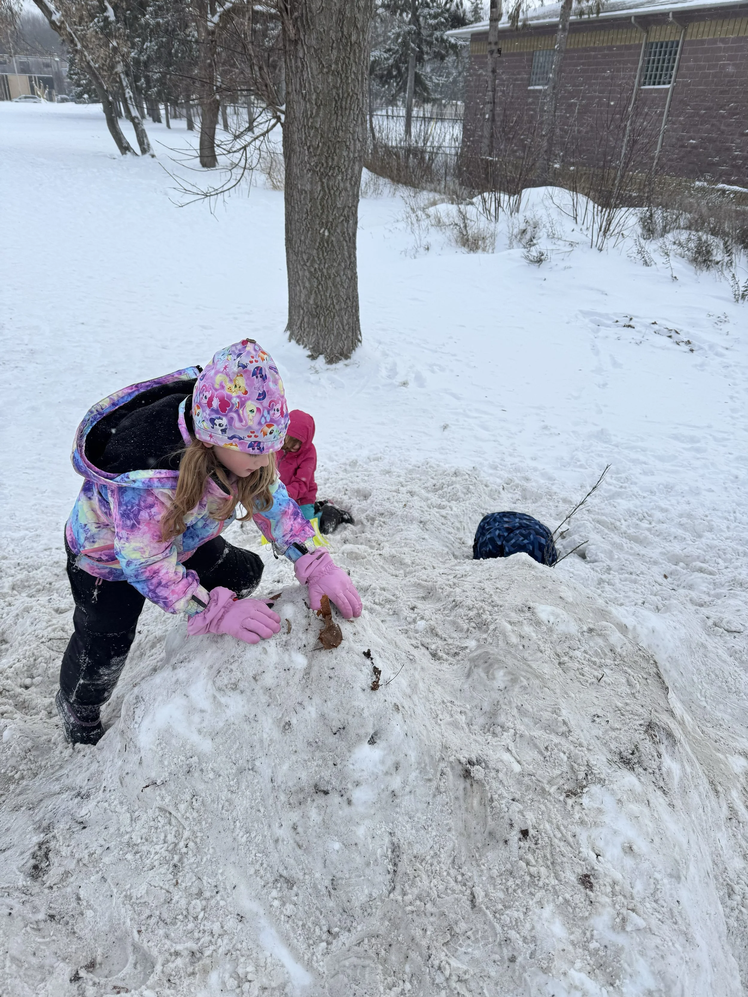 snow snow.jpg