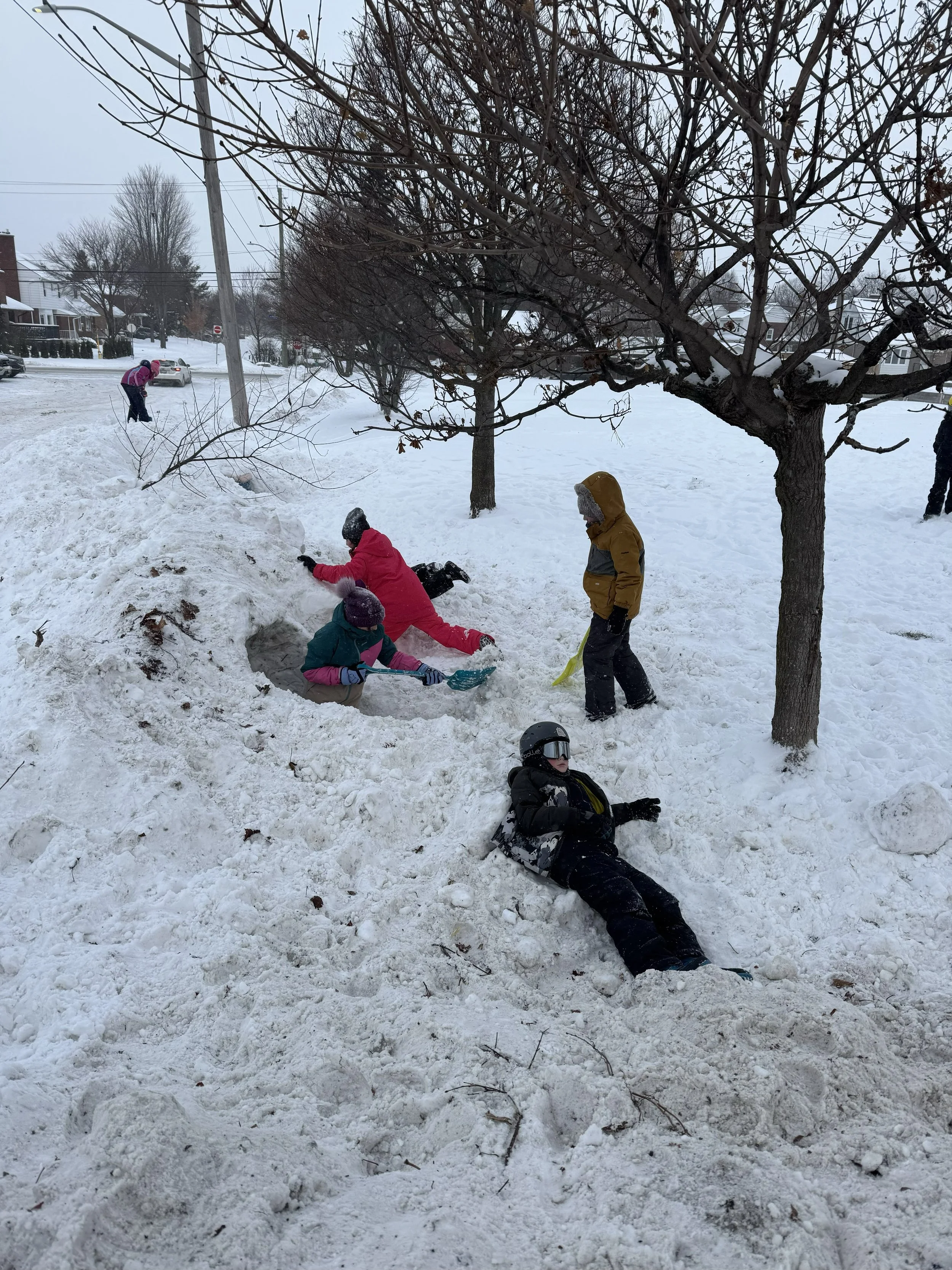 snow day.jpg