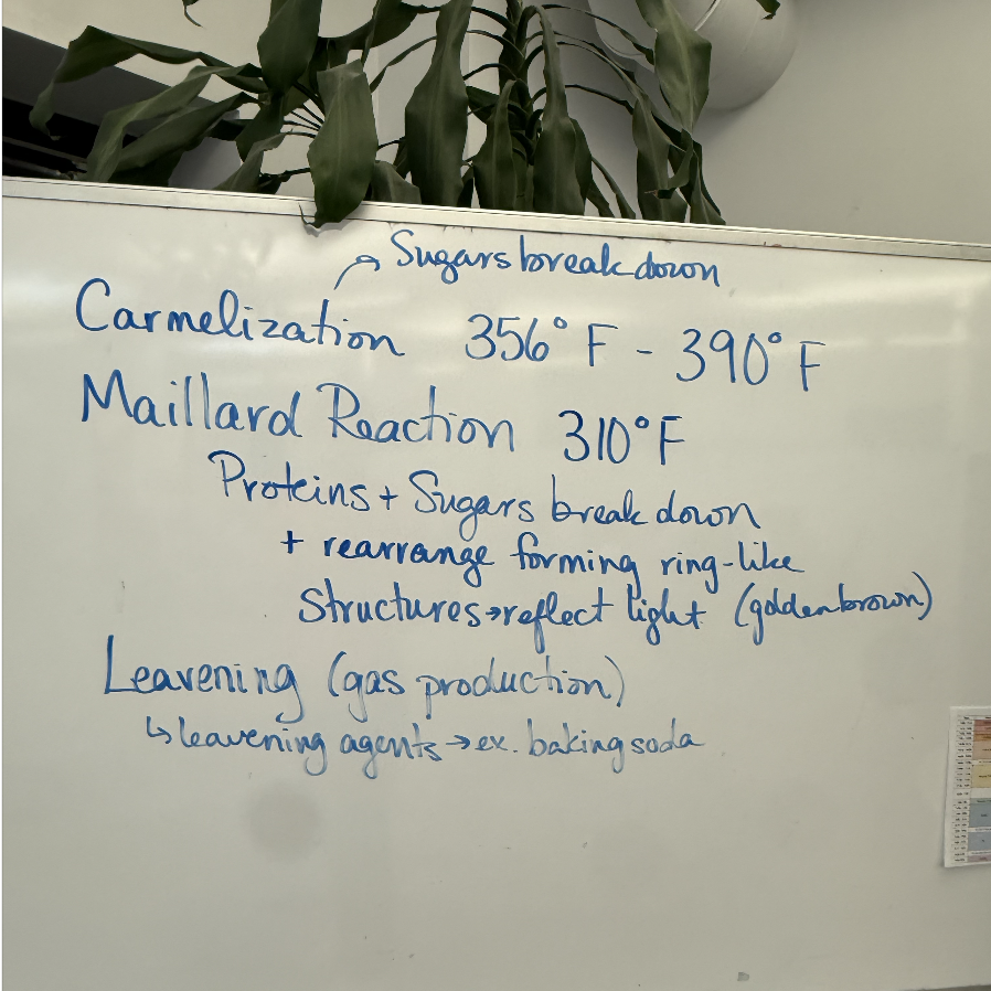 Screenshot 2026-01-10 at 4.00.04 PM.png