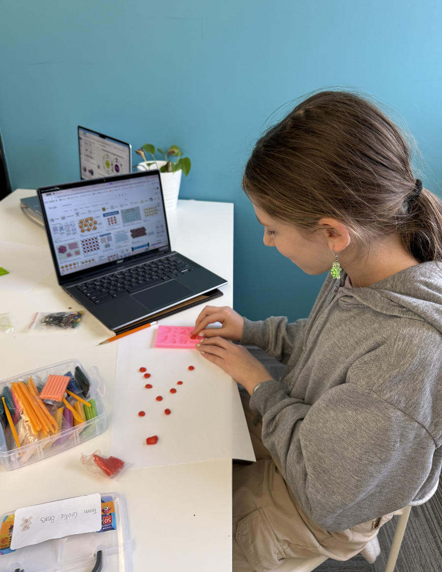 Screenshot 2026-01-17 at 9.24.34 AM.png