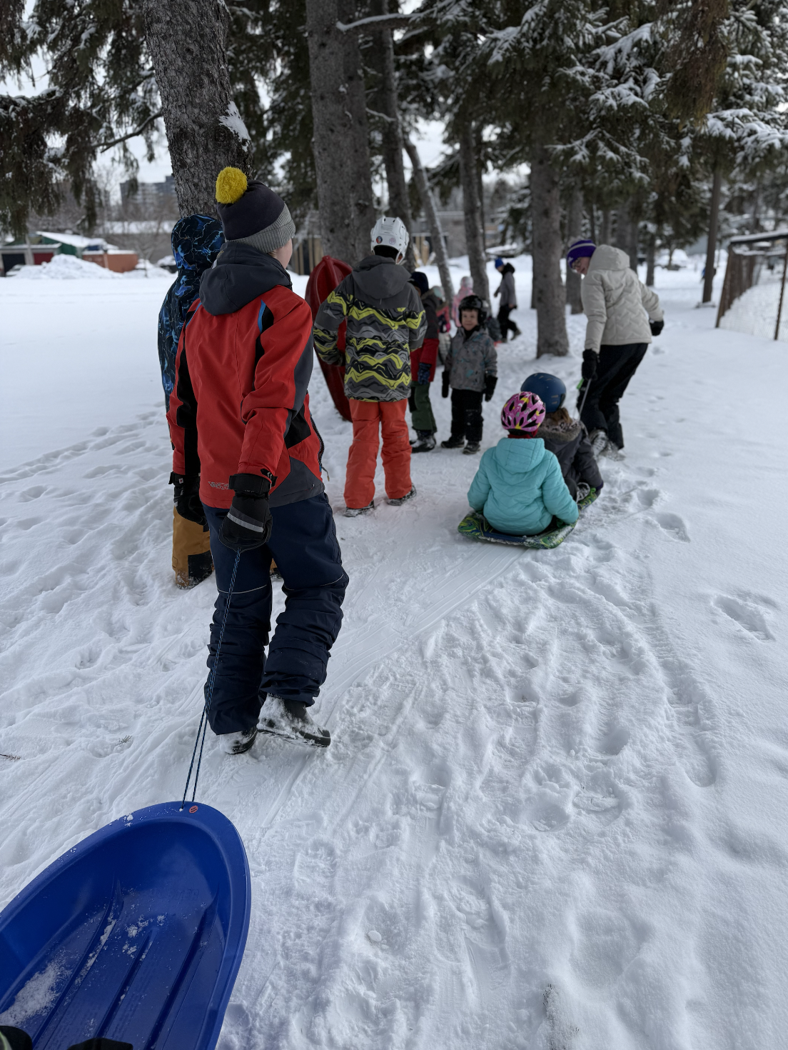 Screenshot 2026-01-31 at 10.34.11 AM.png