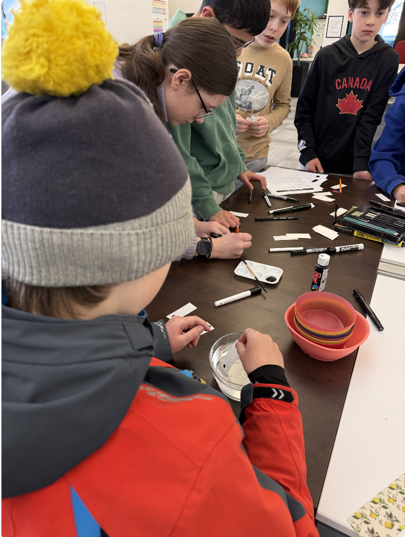 Screenshot 2026-01-31 at 11.17.31 AM.png