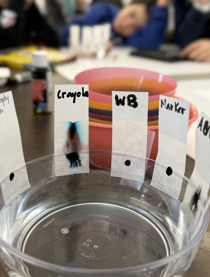 Screenshot 2026-01-31 at 11.17.44 AM.png