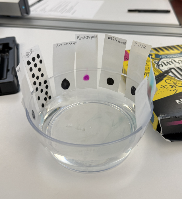 Screenshot 2026-01-31 at 11.17.48 AM.png