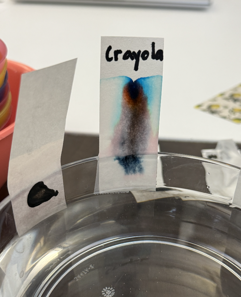 Screenshot 2026-01-31 at 11.17.54 AM.png