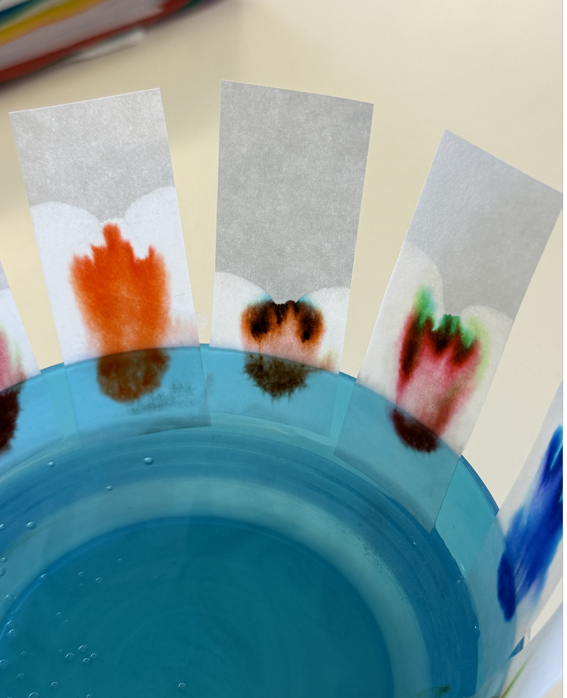 Screenshot 2026-01-31 at 11.18.04 AM.png