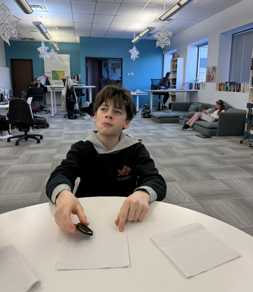 Screenshot 2026-02-07 at 11.18.47 AM.png