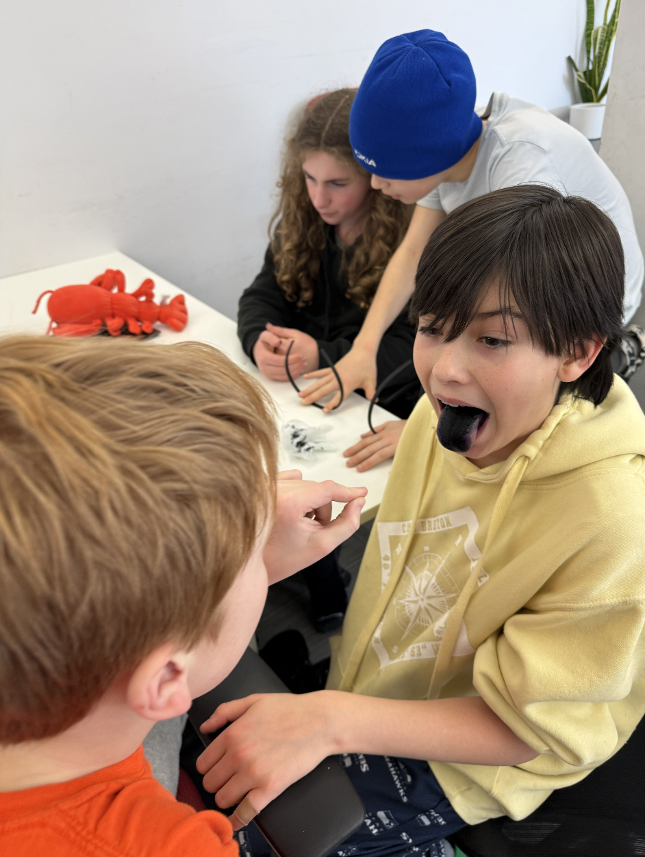 Screenshot 2026-02-07 at 11.20.41 AM.png