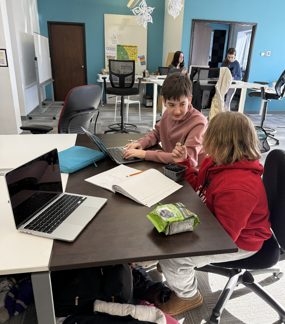 Screenshot 2026-02-07 at 11.21.20 AM.png