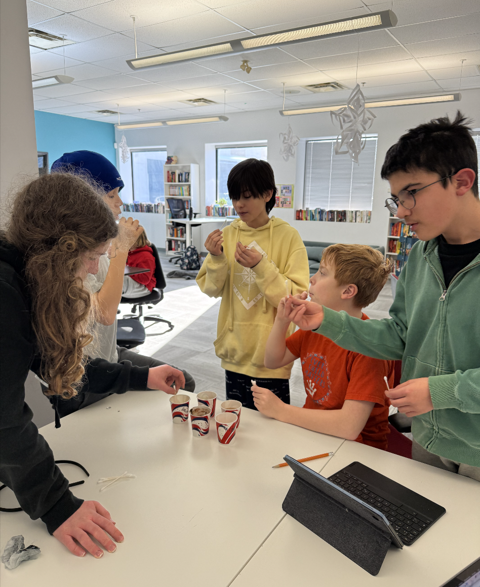 Screenshot 2026-02-07 at 11.21.44 AM.png