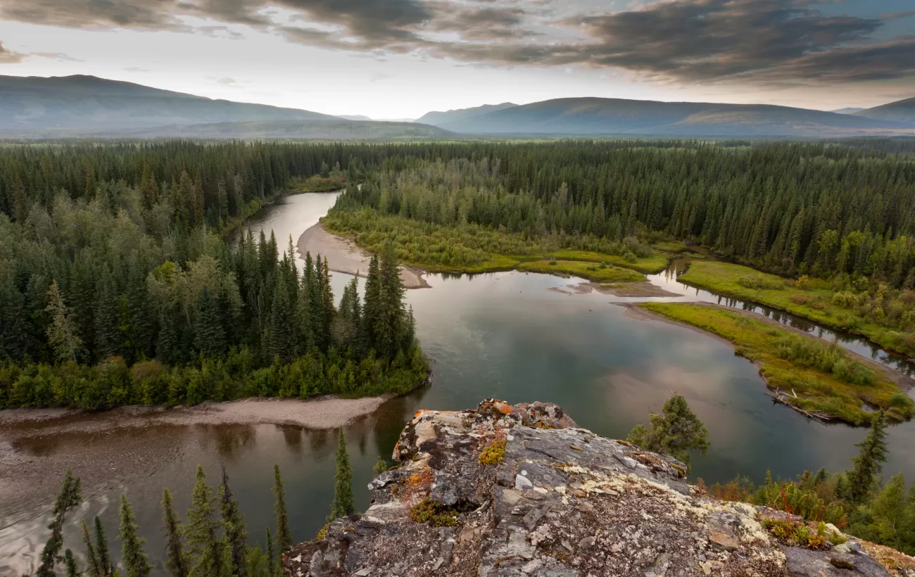 wild canada.png