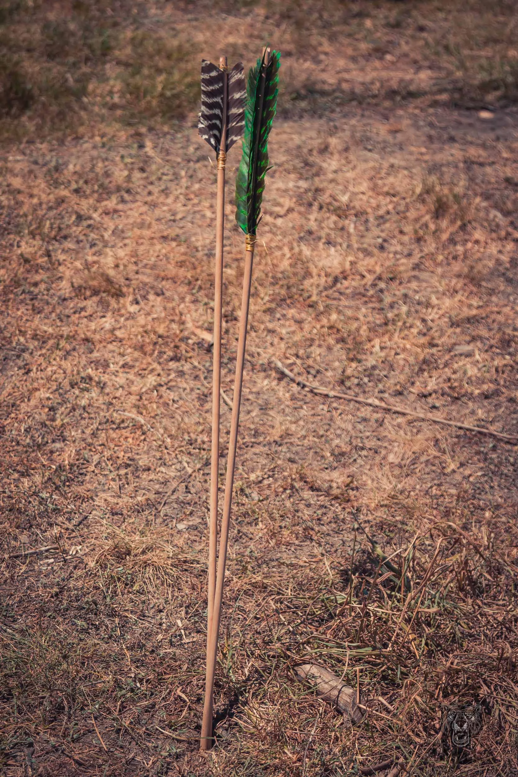 Suimmer-Camp-BuzzMill-Archery-Competition--57.jpg