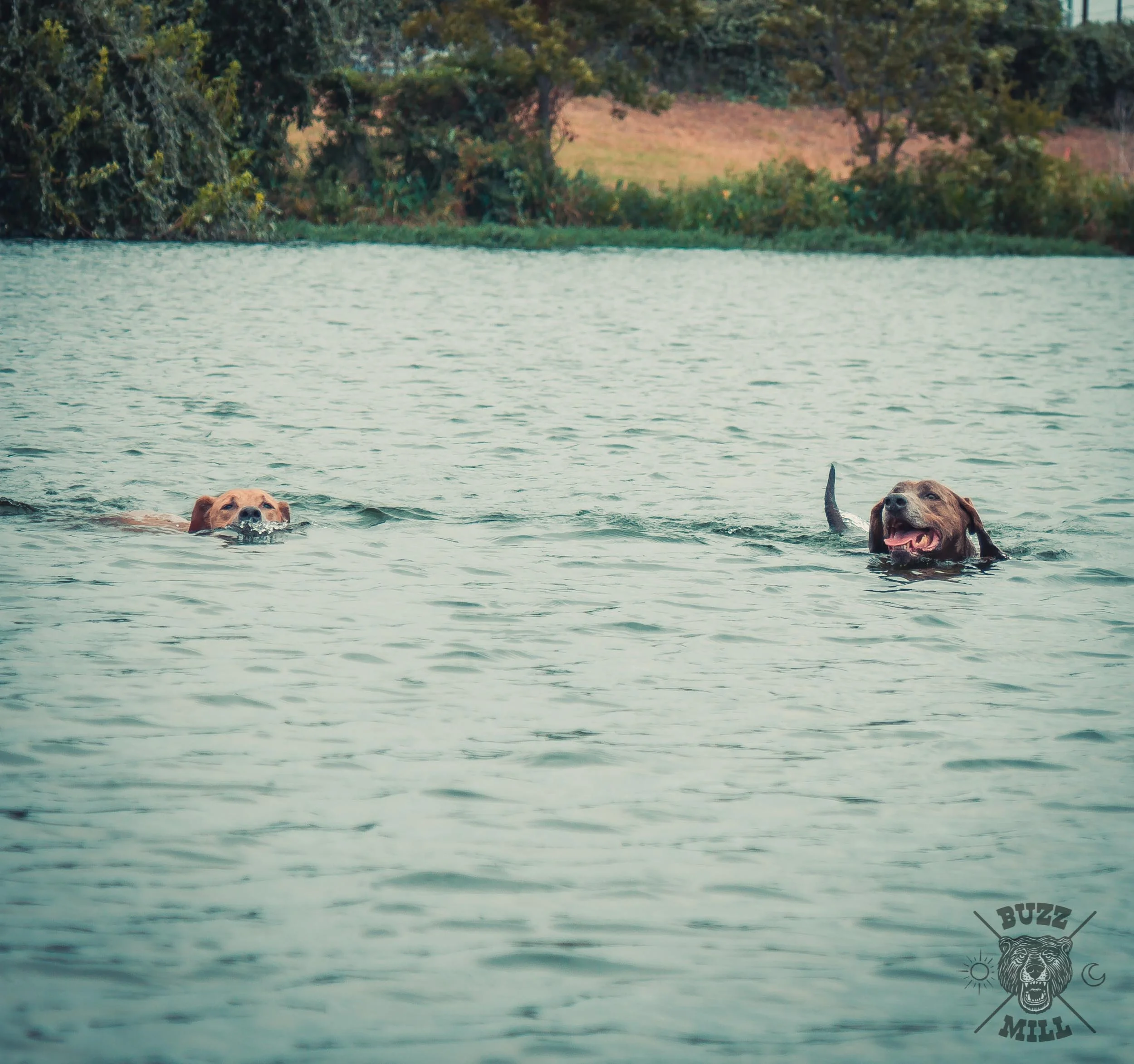 BuzzMill-Austin-RiverCleanup--26.jpg
