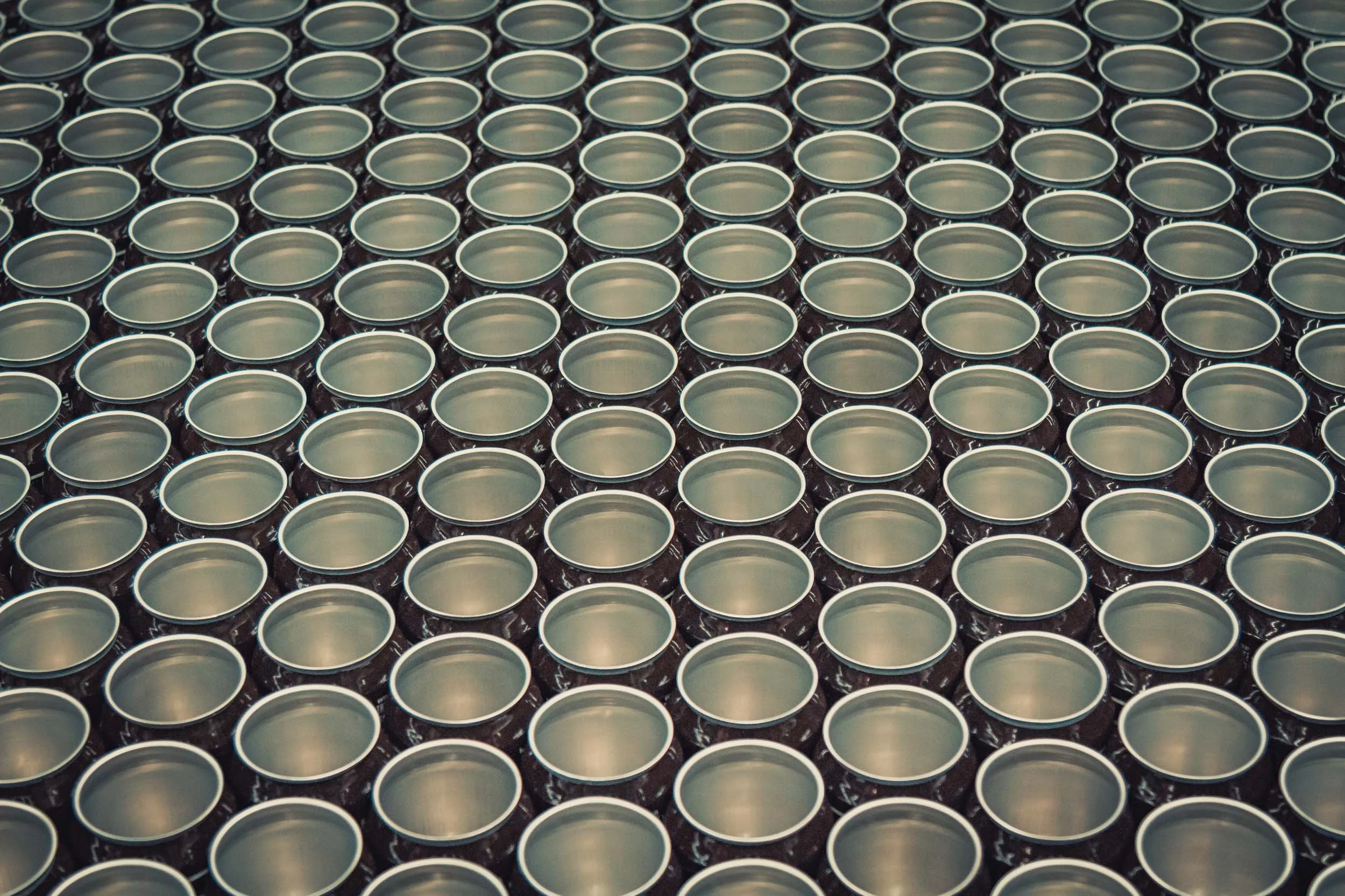BuzzMill-ccamp-cider-5331.jpg