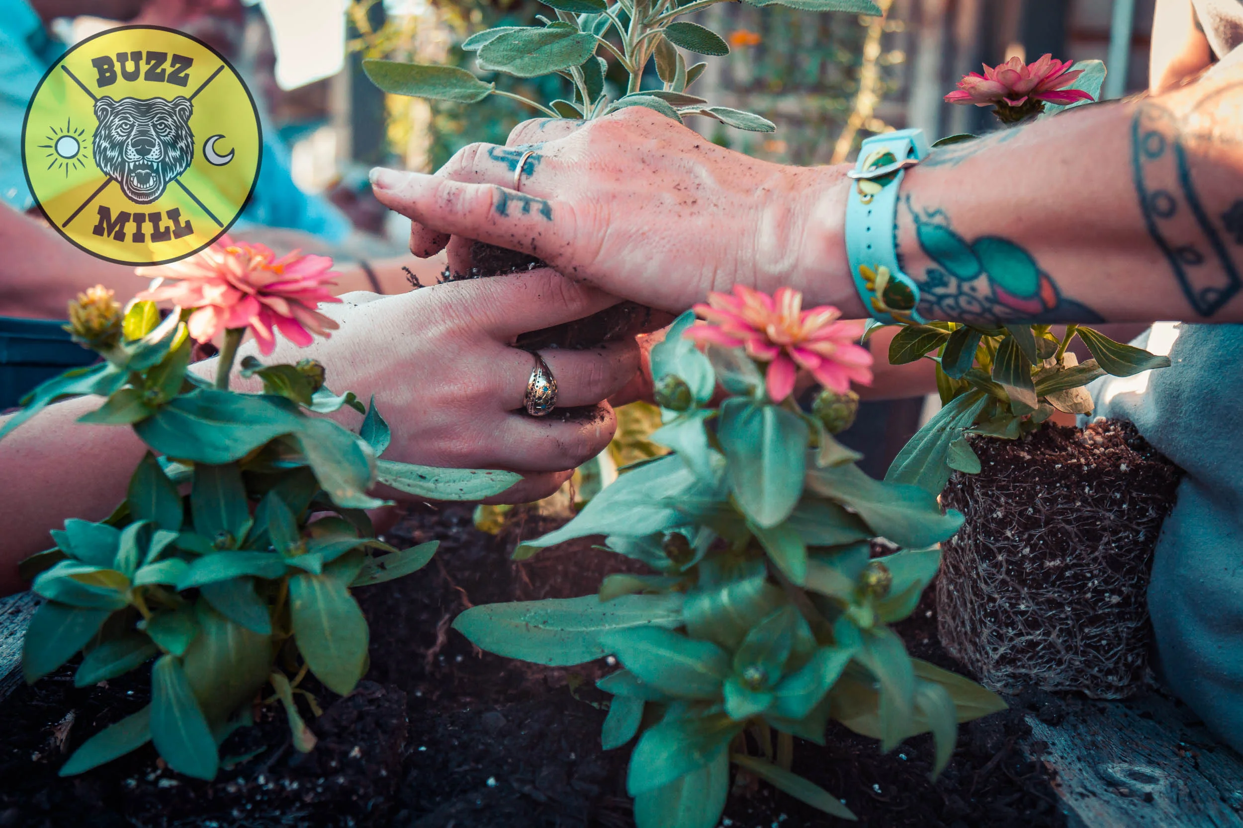 Couple's Planting with Lumber Society