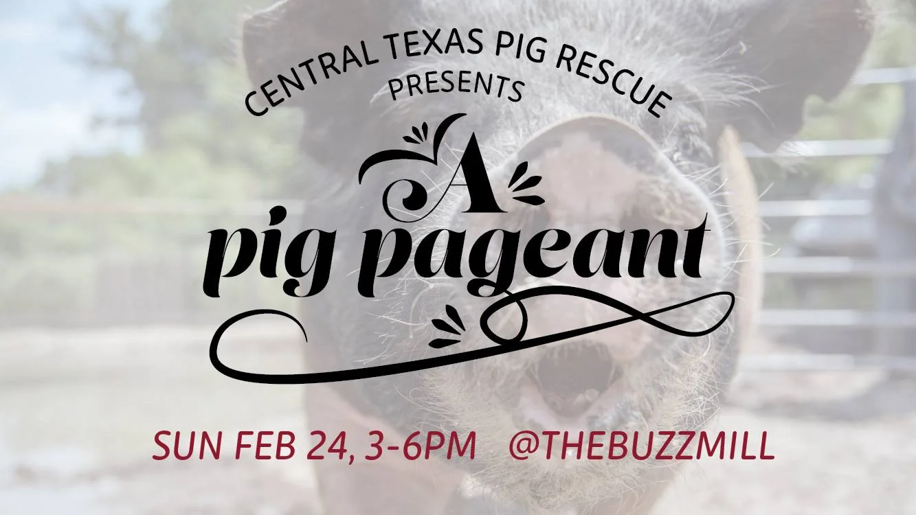 A Pig Pageant ~ Presented by CTPR (Central Texas Pig Rescue)