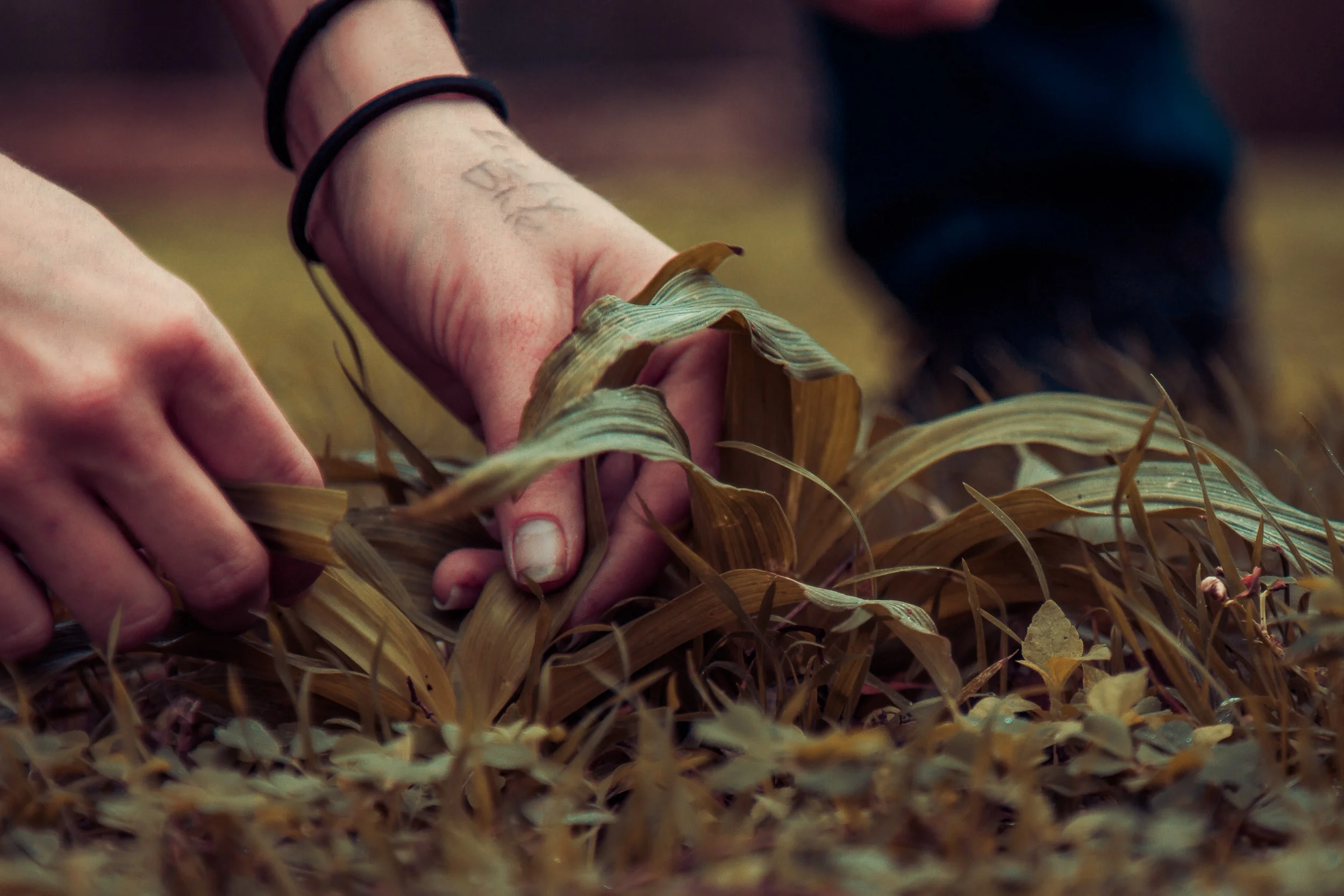 Primitive Foraging & Cooking