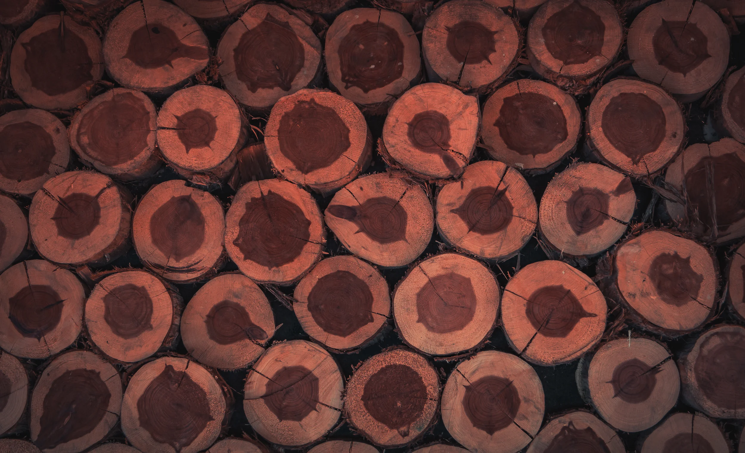 App Background 1.jpg