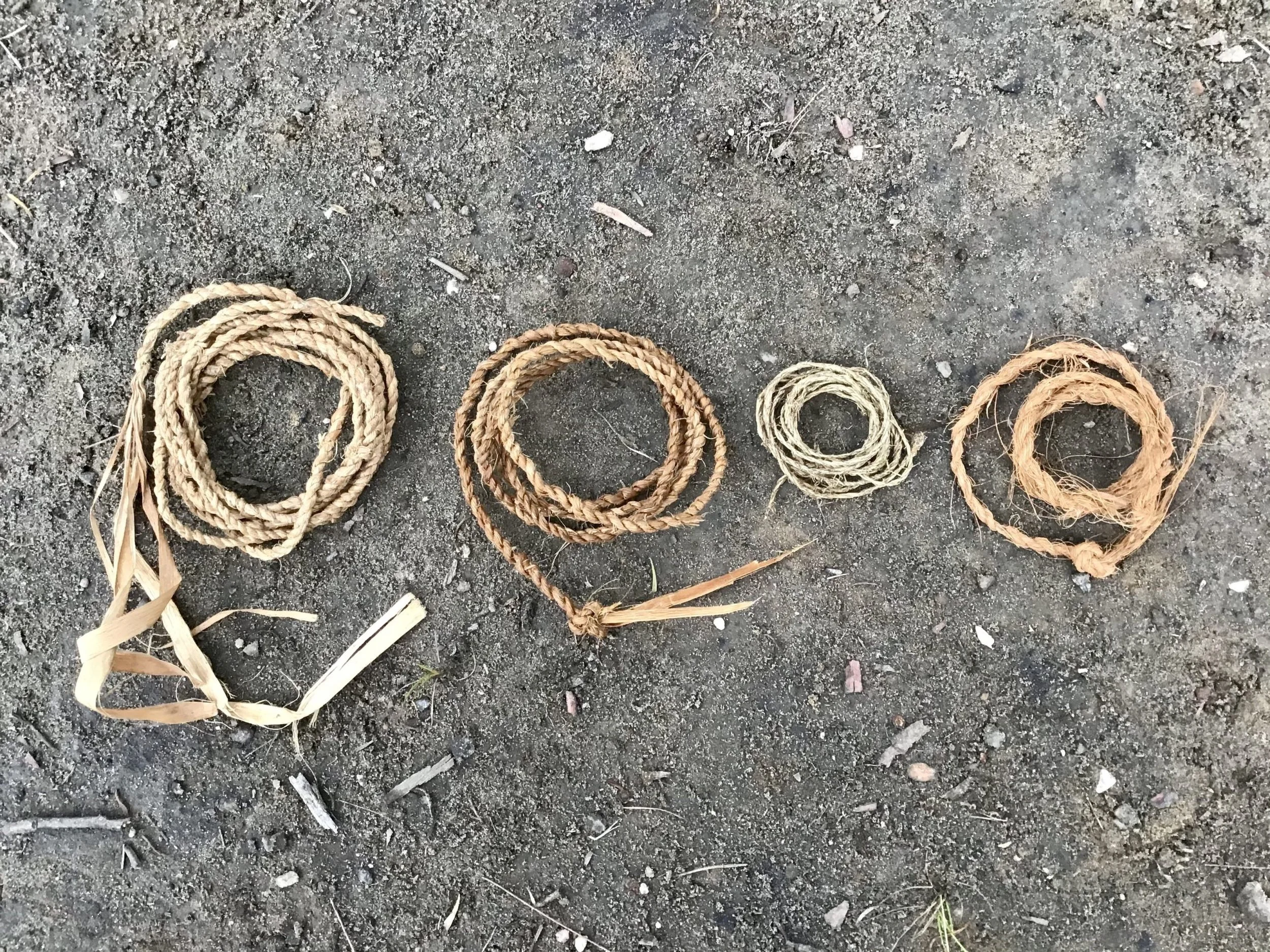 Cordage From Plants Advanced Lumber Society Workshop