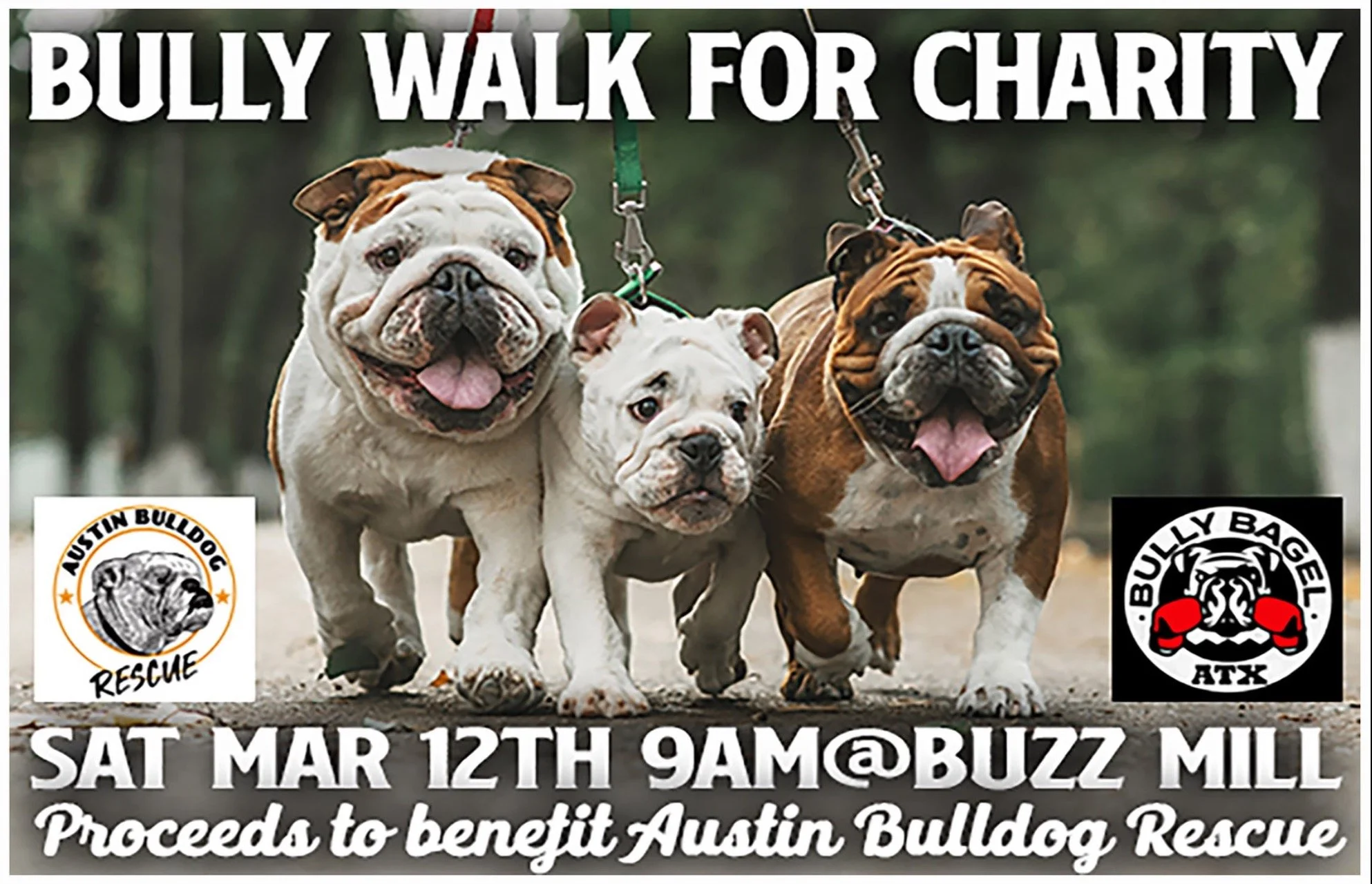Bully Bagel Walk for Charity 