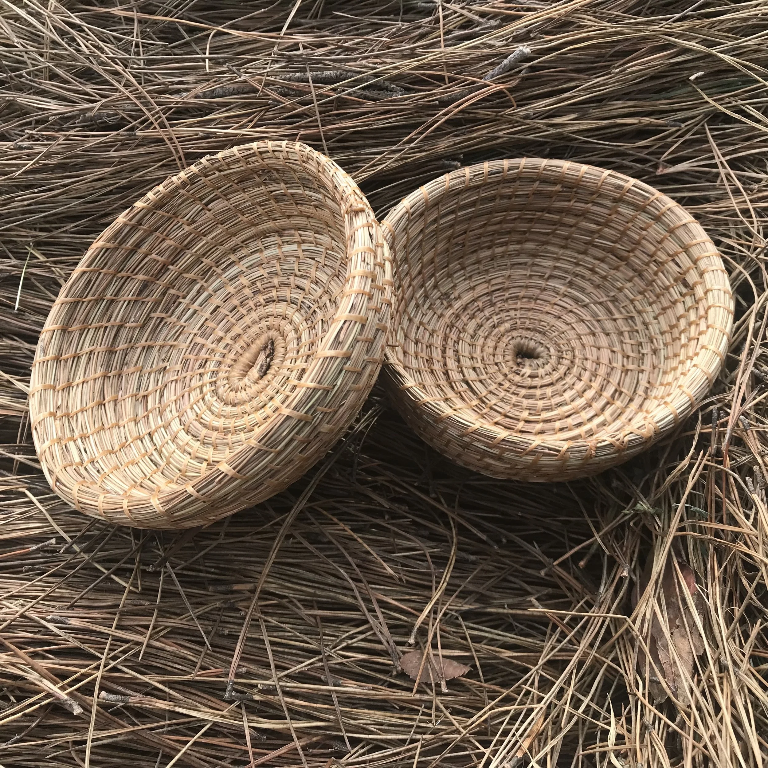 Pine Needle Basketry Workshop