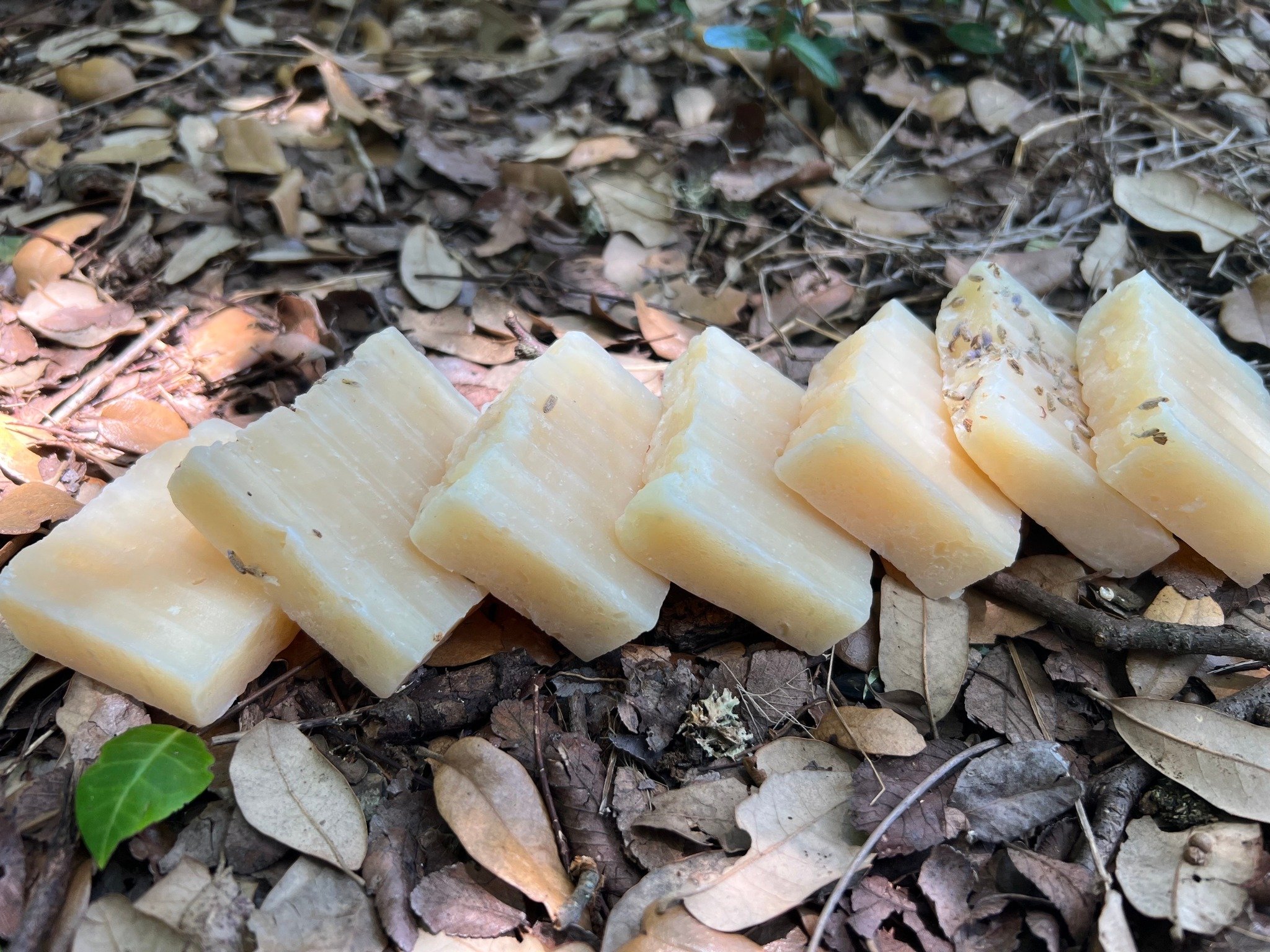 Soap Making Workshop