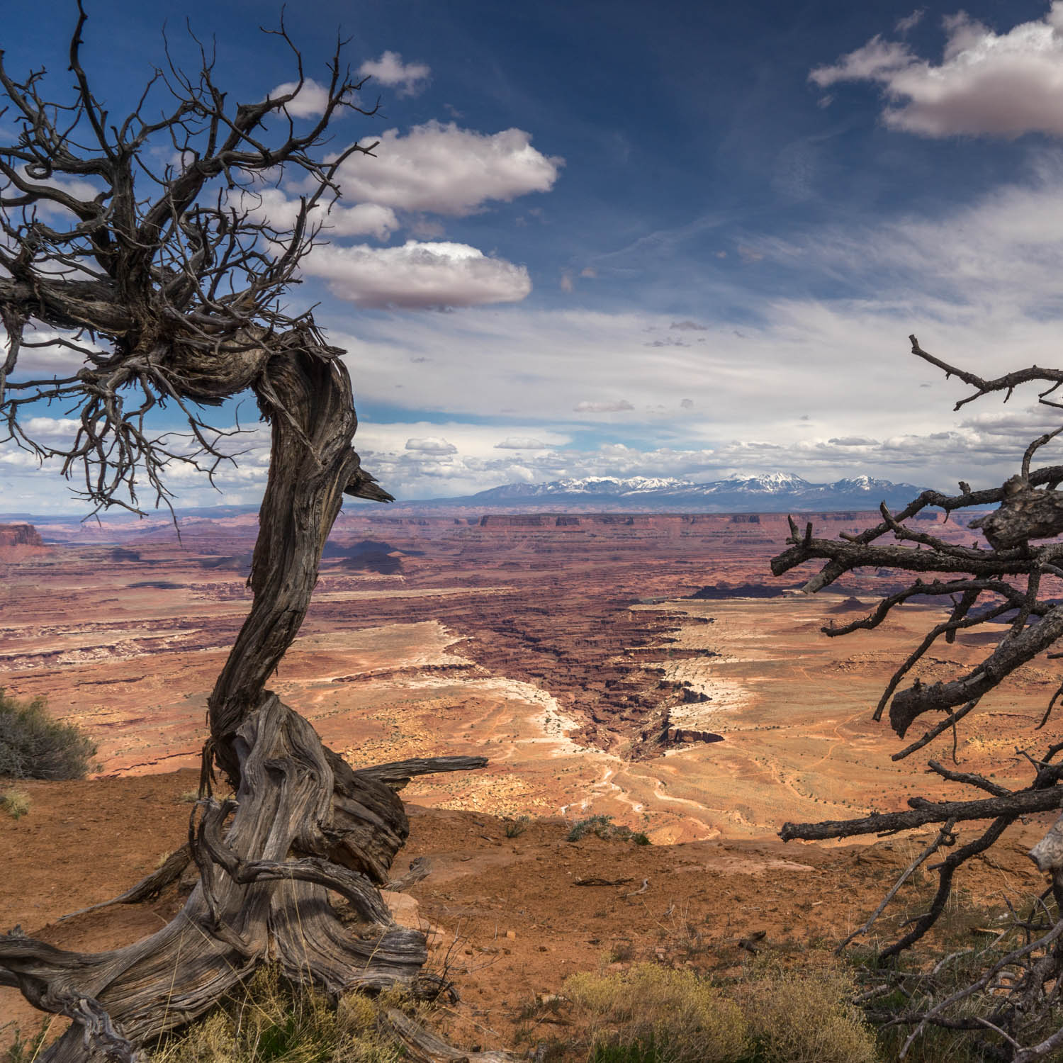 Grand View Point 