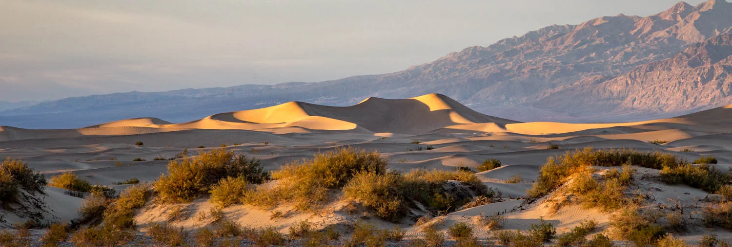 Mesquite Dunes Panorama