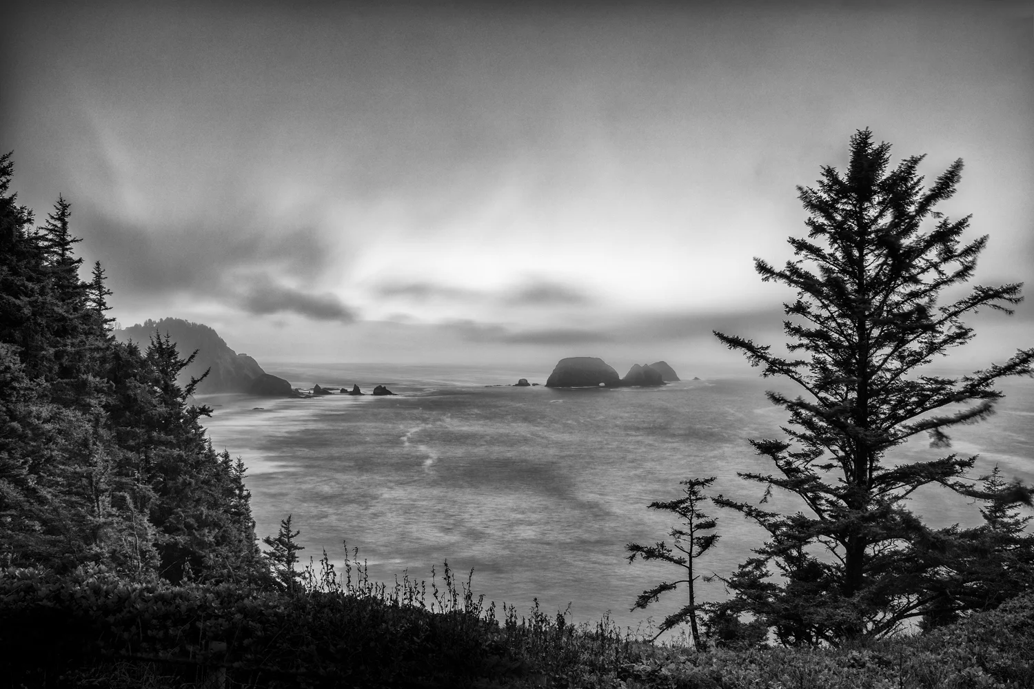 The Oregon Coast near the city of Yachats. Every restaurant we went to had wonderful hallibut entrees.