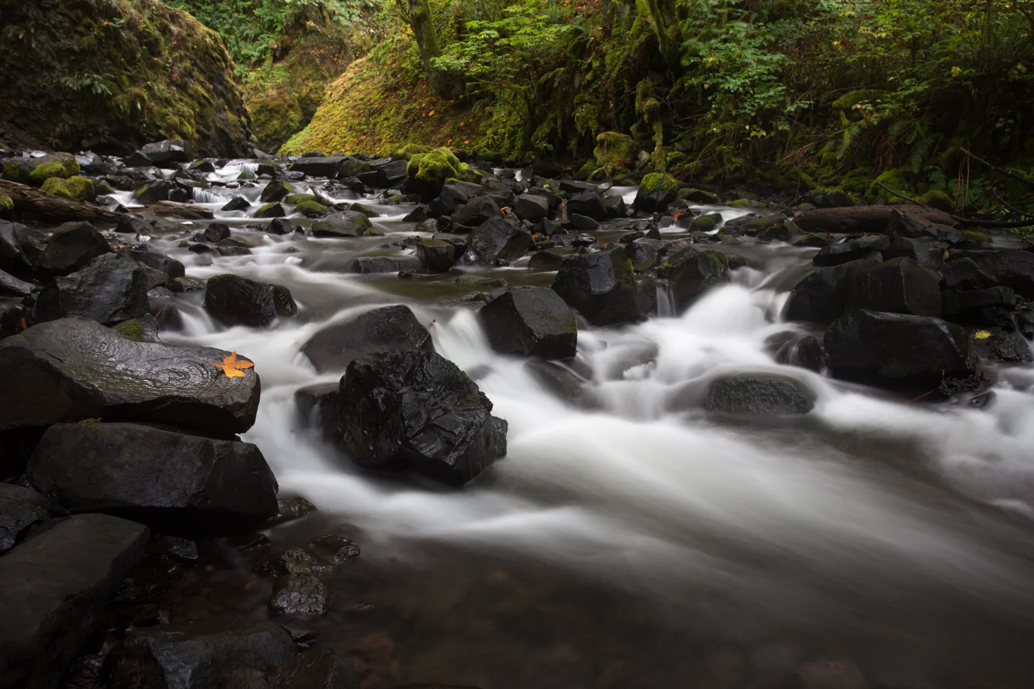 A single leaf watches the water cascade downstream from Bridal Veil Falls along Old Route 30 in northwest Oregon. This truly beautiful area is well worth being on your bucket list if you have not yet been there.